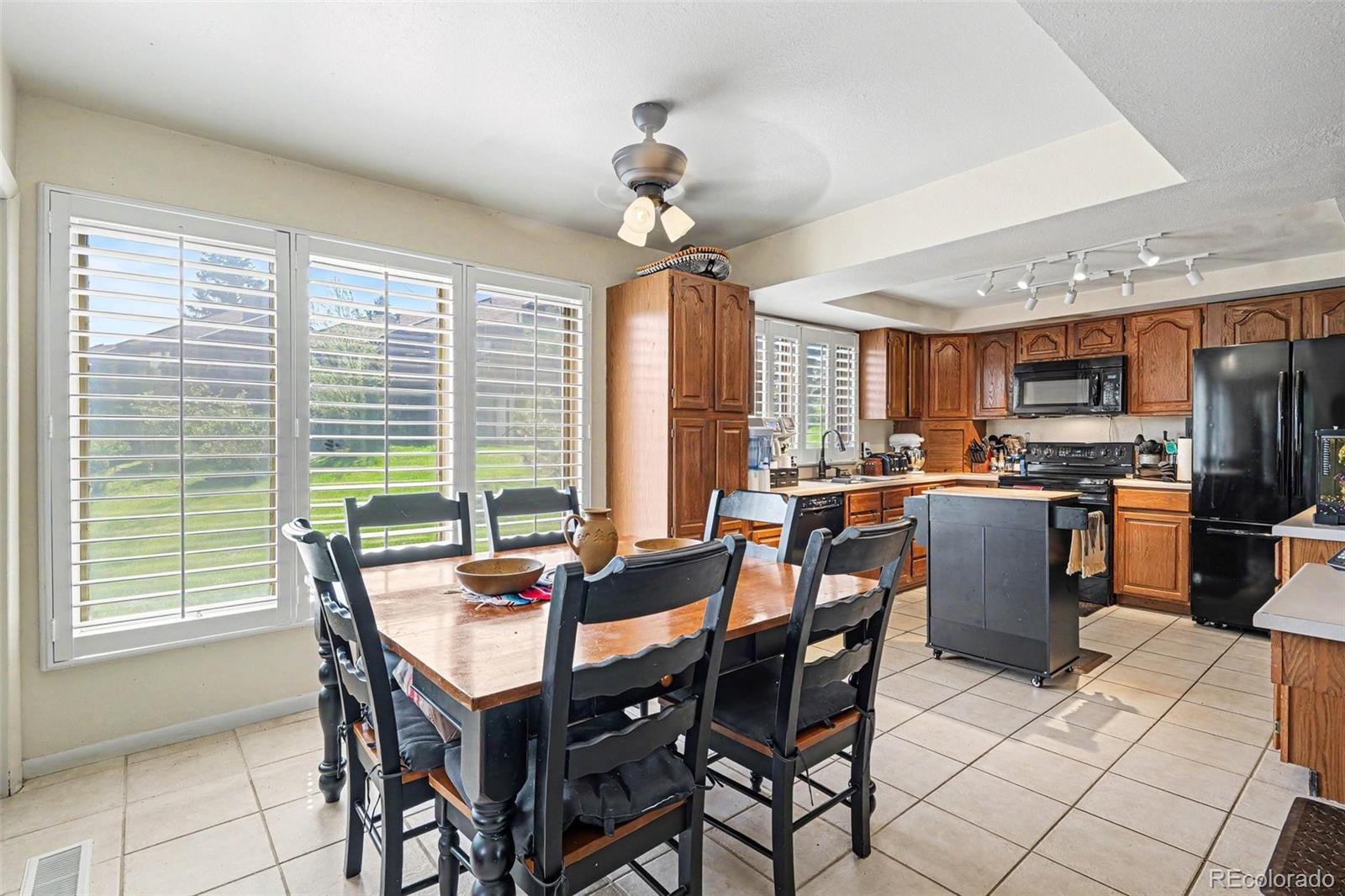 MLS Image #6 for 4483  juniper court,larkspur, Colorado