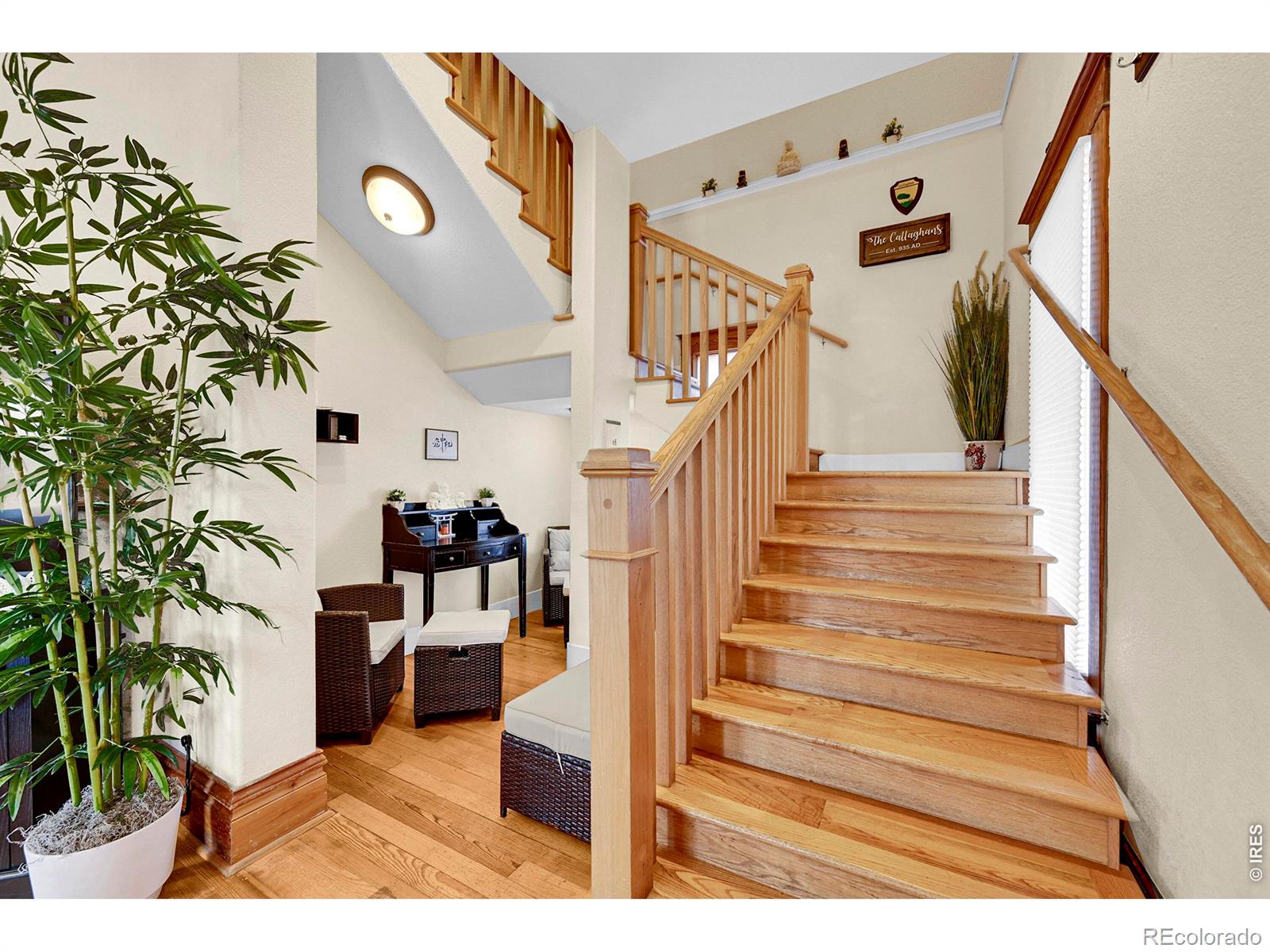 MLS Image #7 for 1401  3rd avenue,longmont, Colorado