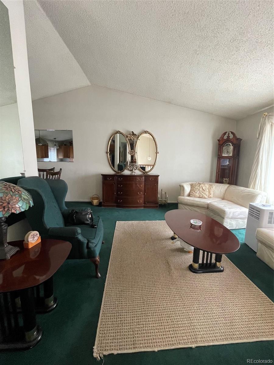 MLS Image #1 for 4841  carson street,denver, Colorado