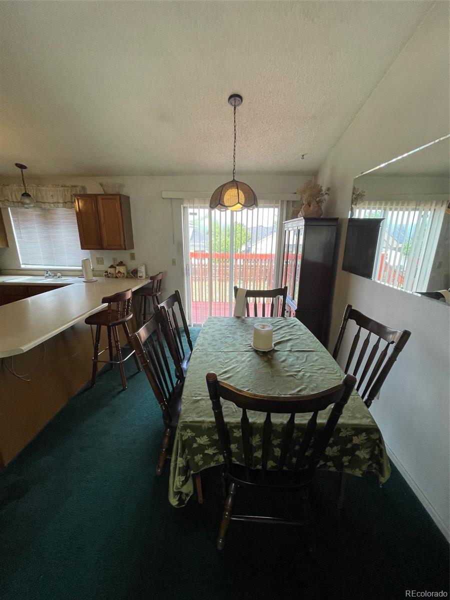 MLS Image #3 for 4841  carson street,denver, Colorado