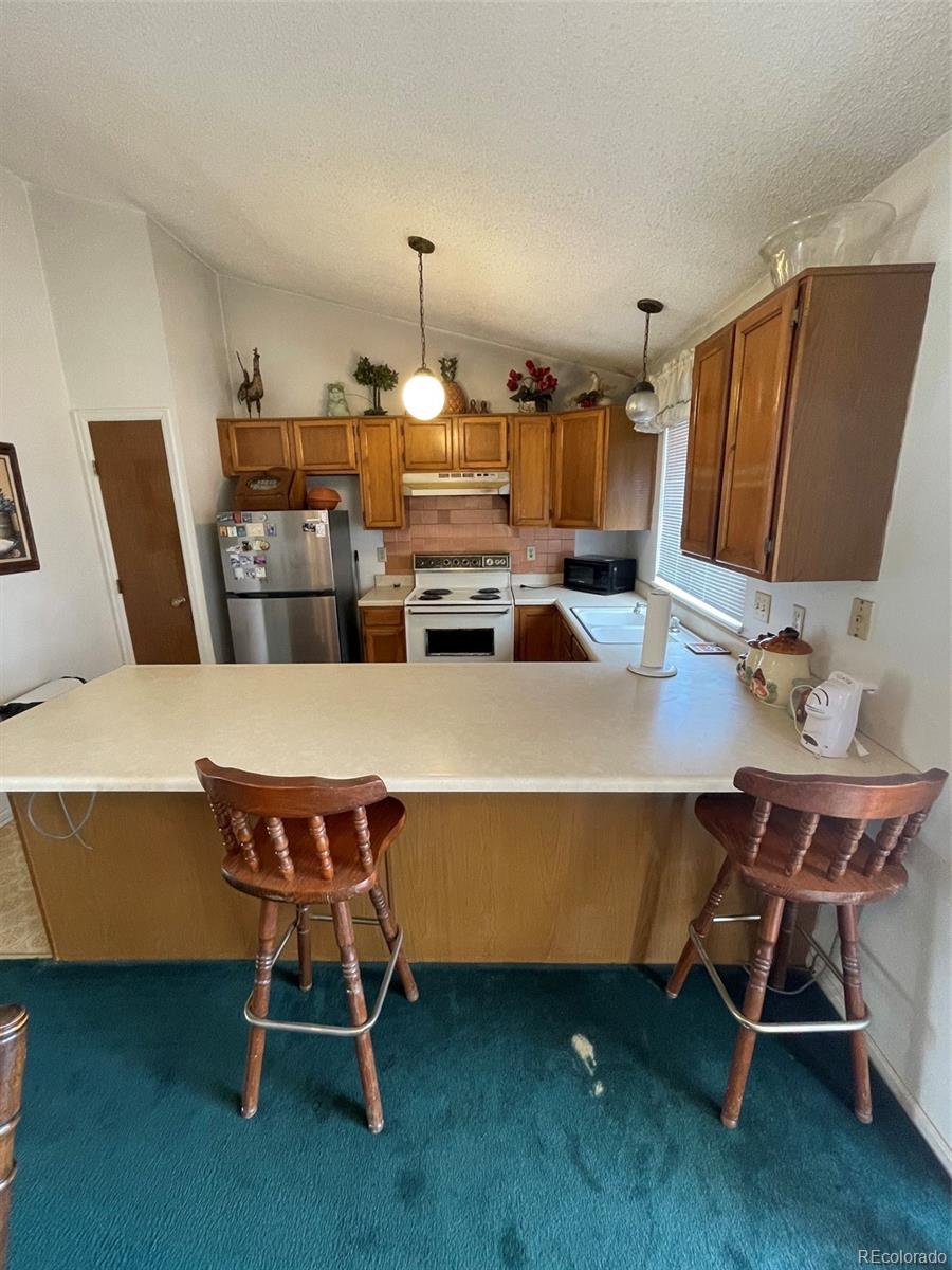 MLS Image #4 for 4841  carson street,denver, Colorado