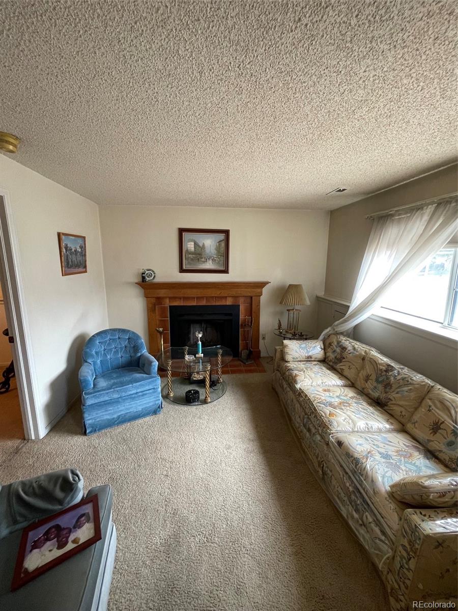 MLS Image #8 for 4841  carson street,denver, Colorado