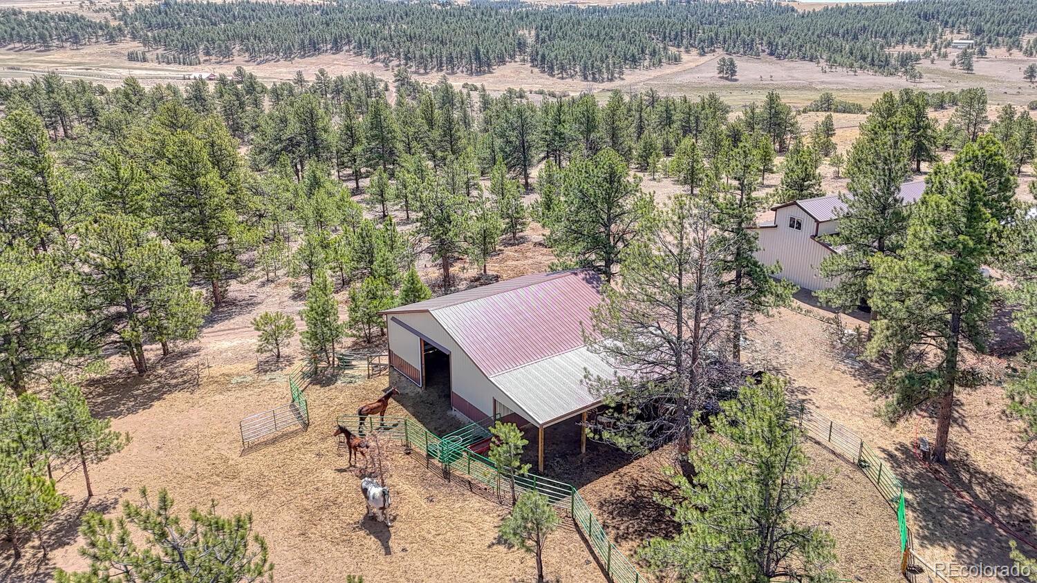 MLS Image #42 for 4701  county road 323 ,westcliffe, Colorado