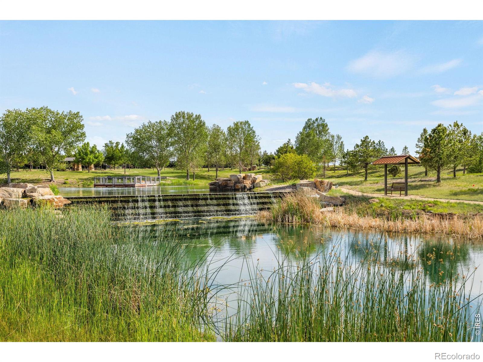 MLS Image #36 for 15934  wild horse drive,broomfield, Colorado