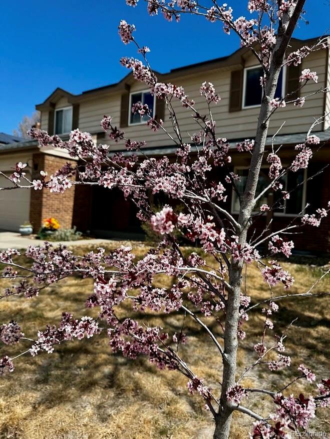 MLS Image #23 for 8330  garland drive,arvada, Colorado