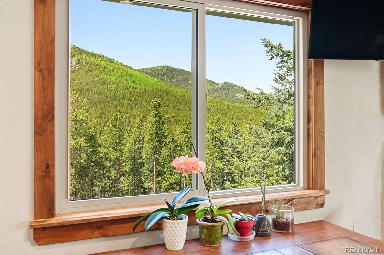 MLS Image #12 for 9165  jill drive,conifer, Colorado