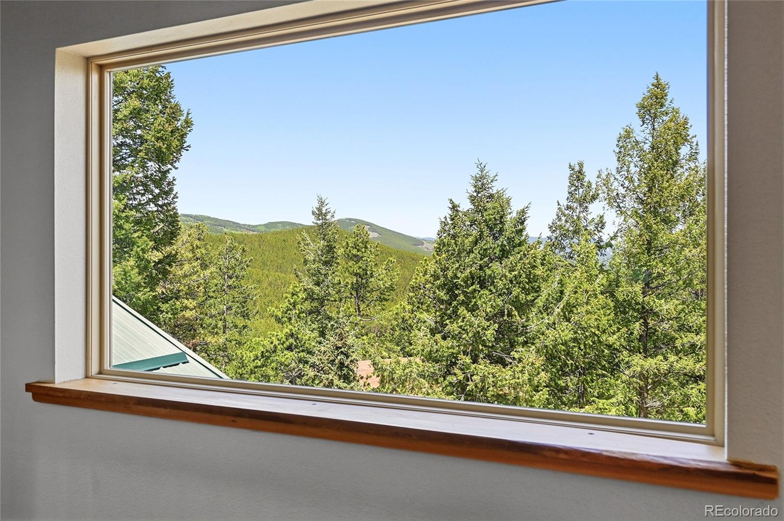 MLS Image #24 for 9165  jill drive,conifer, Colorado