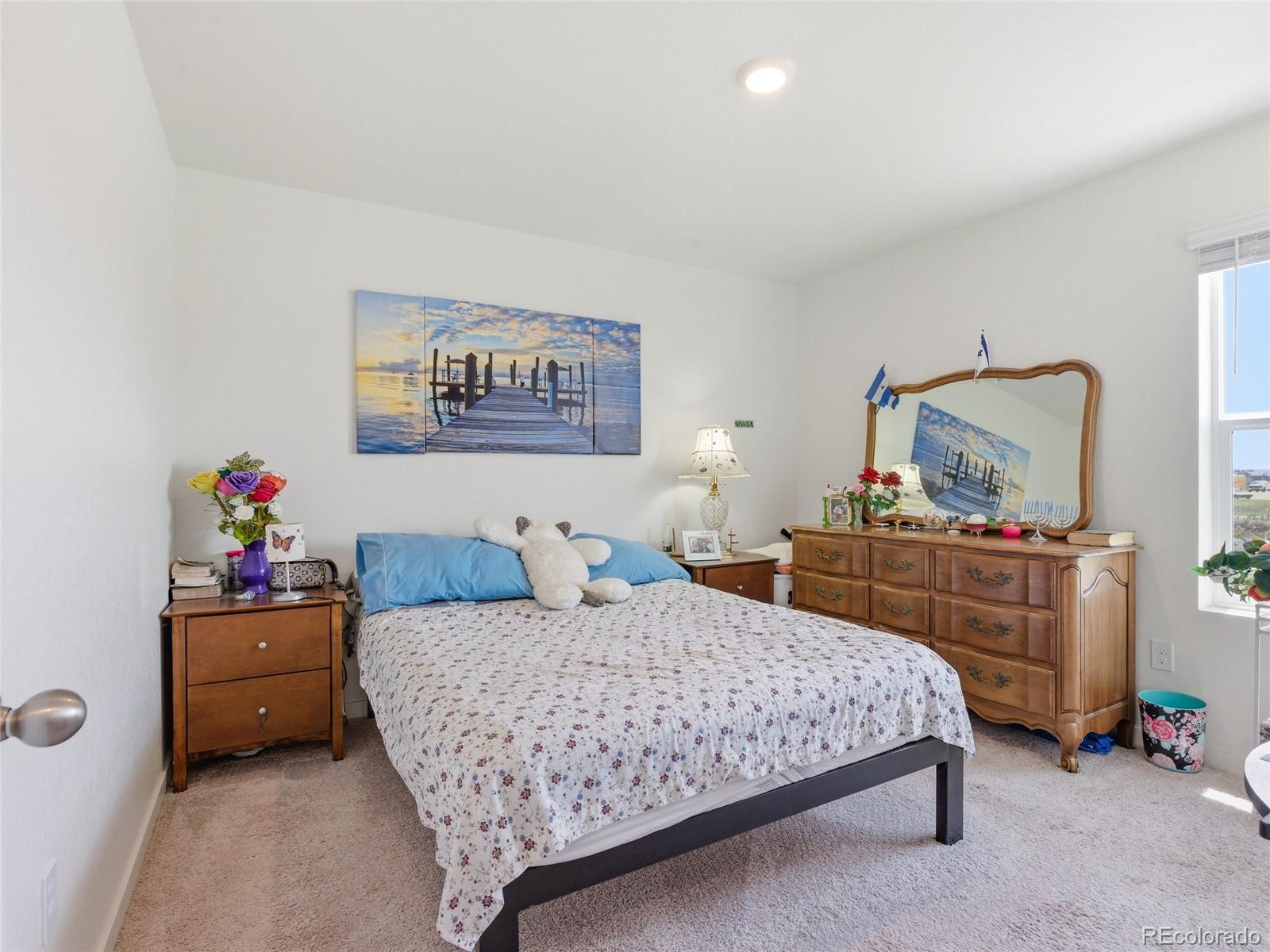 MLS Image #10 for 905  william way,brighton, Colorado