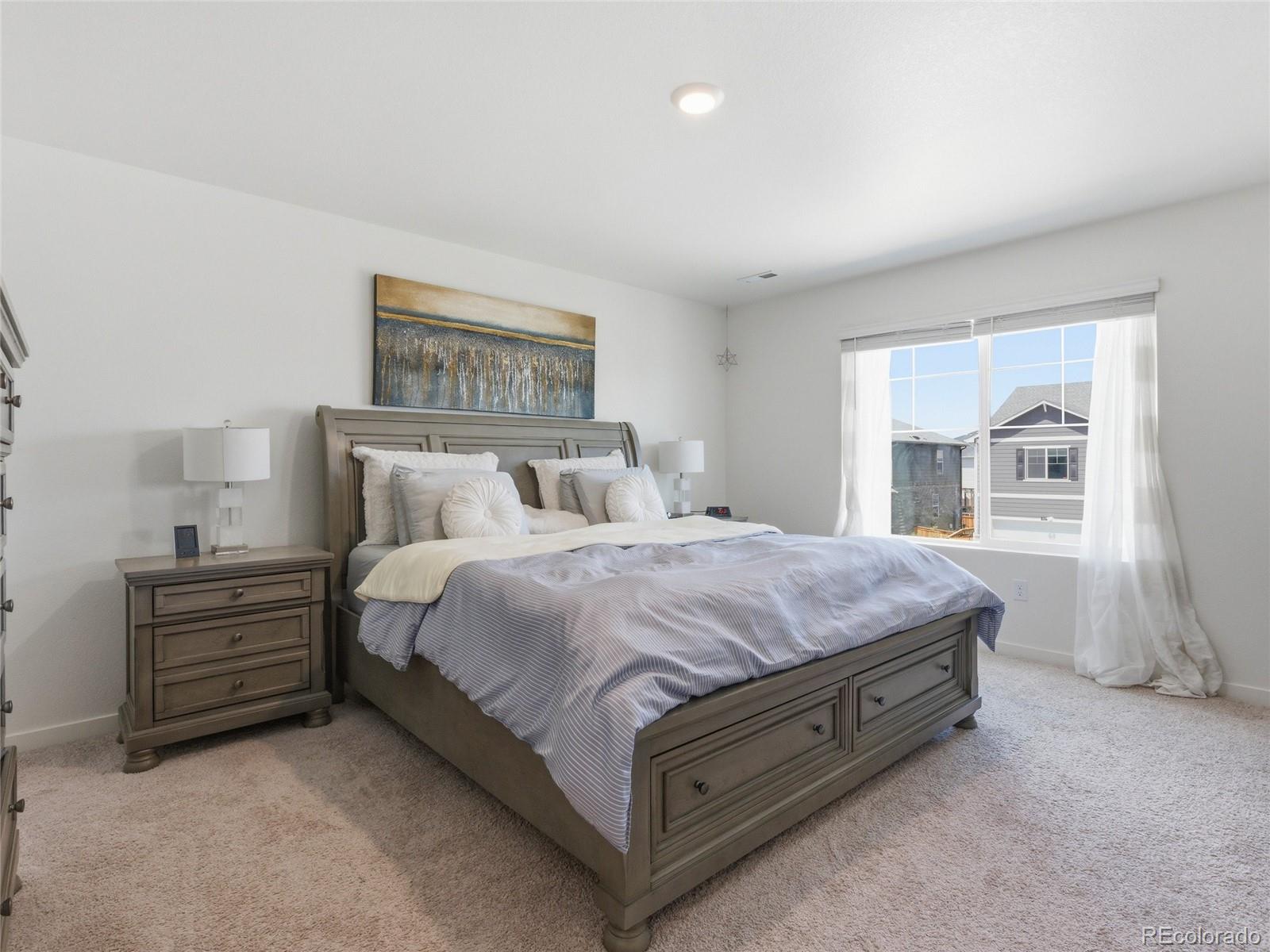MLS Image #5 for 905  william way,brighton, Colorado