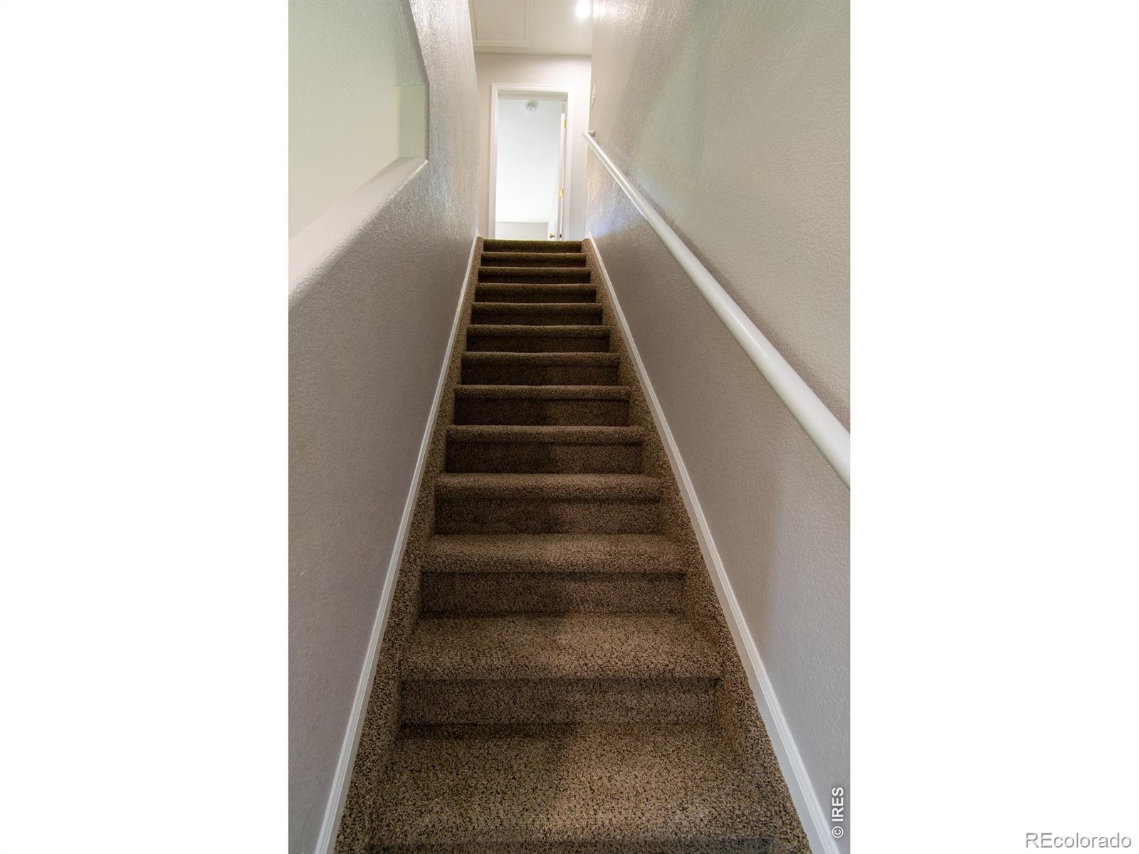 MLS Image #29 for 3326  warren farm drive,fort collins, Colorado
