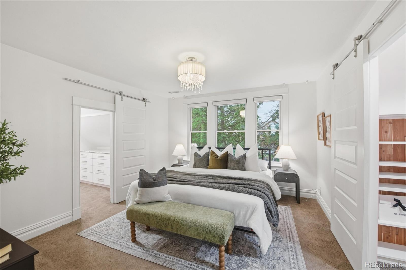MLS Image #23 for 4276  green court,denver, Colorado