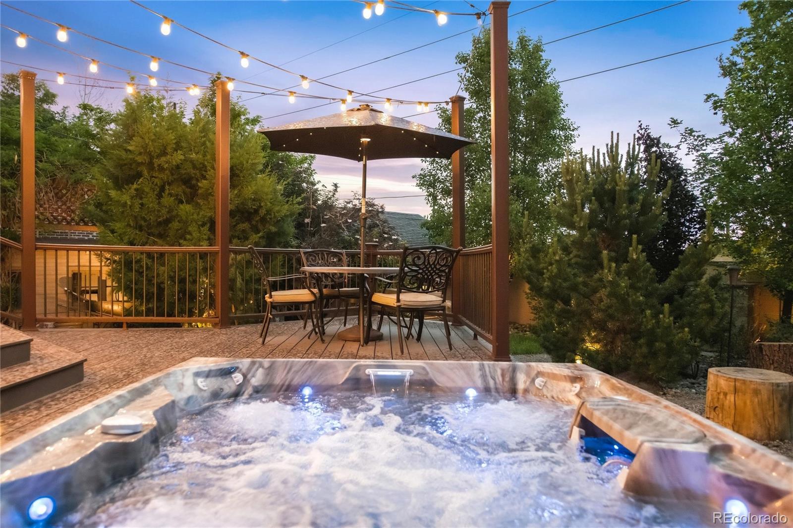 MLS Image #40 for 4276  green court,denver, Colorado