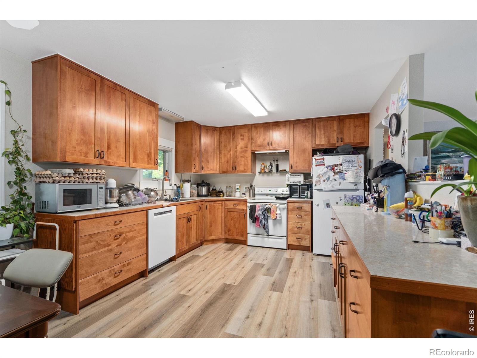 MLS Image #10 for 1912  empire avenue,loveland, Colorado