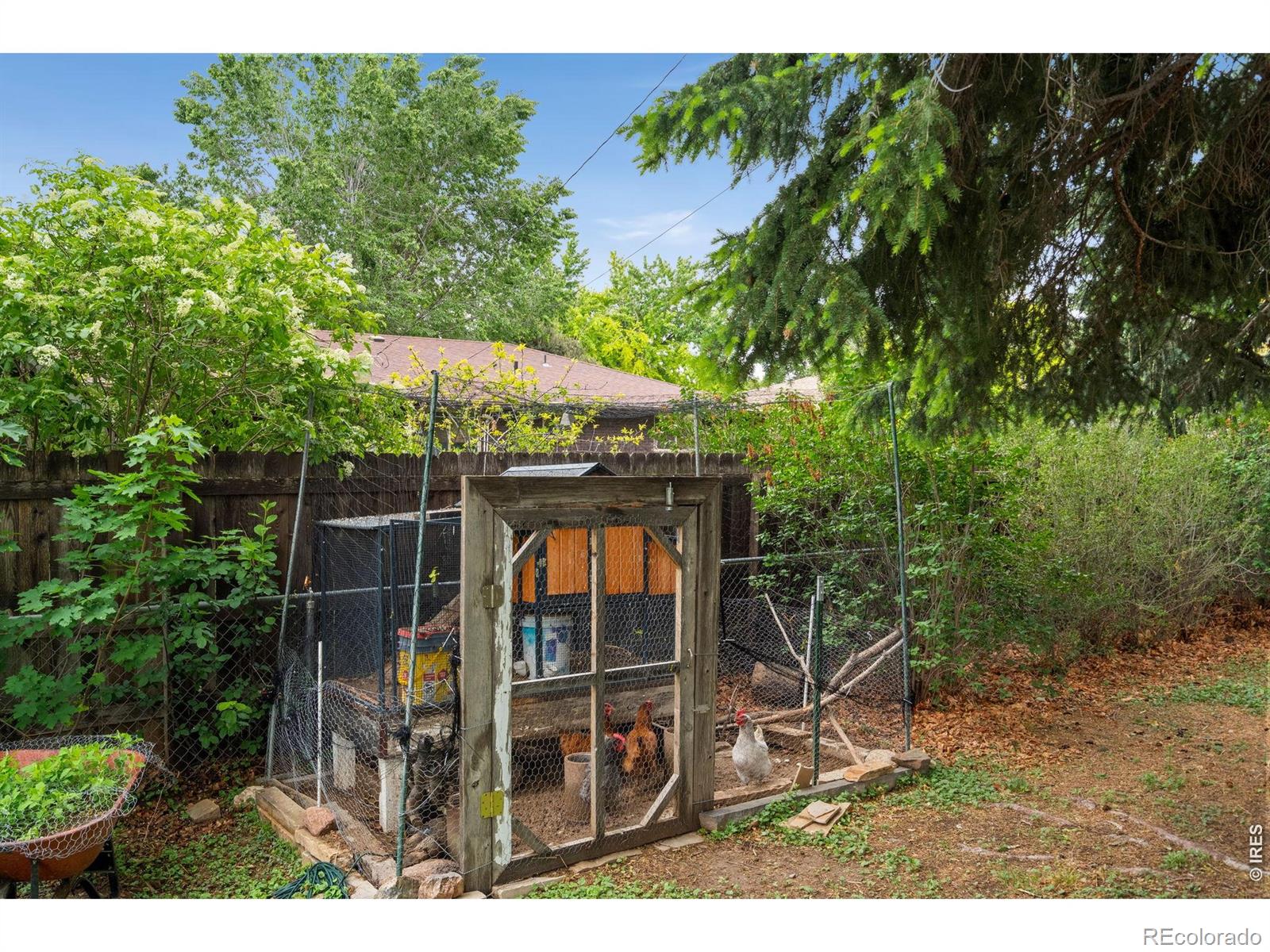 MLS Image #30 for 1912  empire avenue,loveland, Colorado