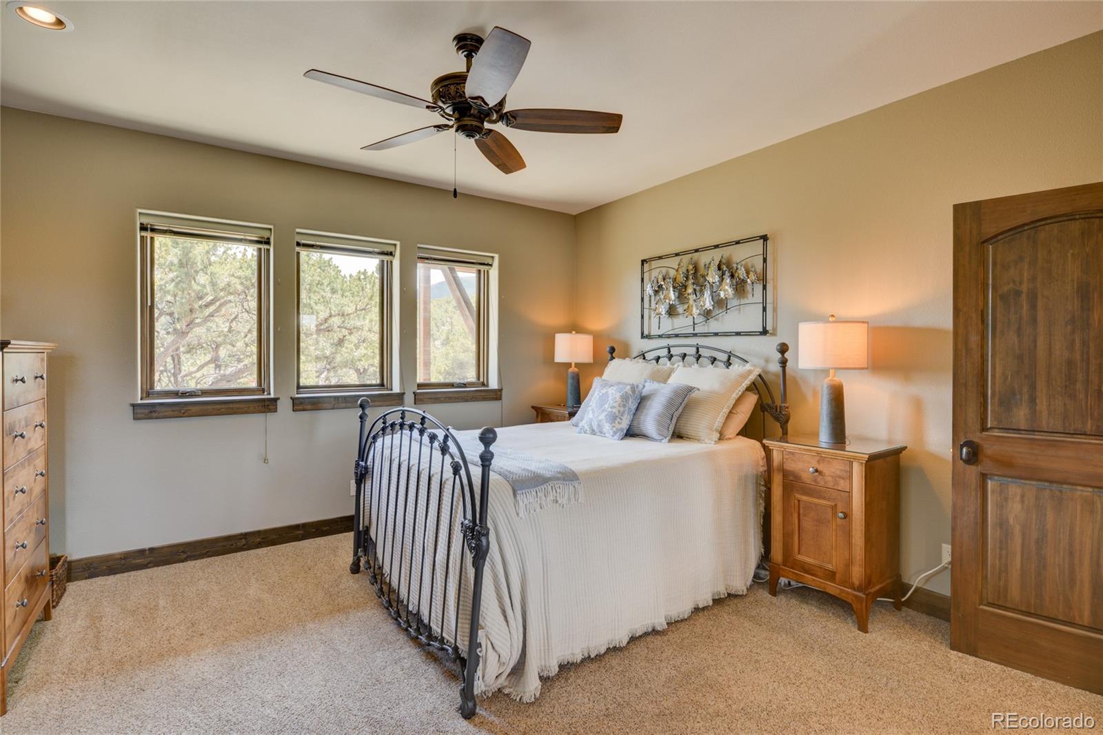 MLS Image #14 for 30177  princeton hills,buena vista, Colorado
