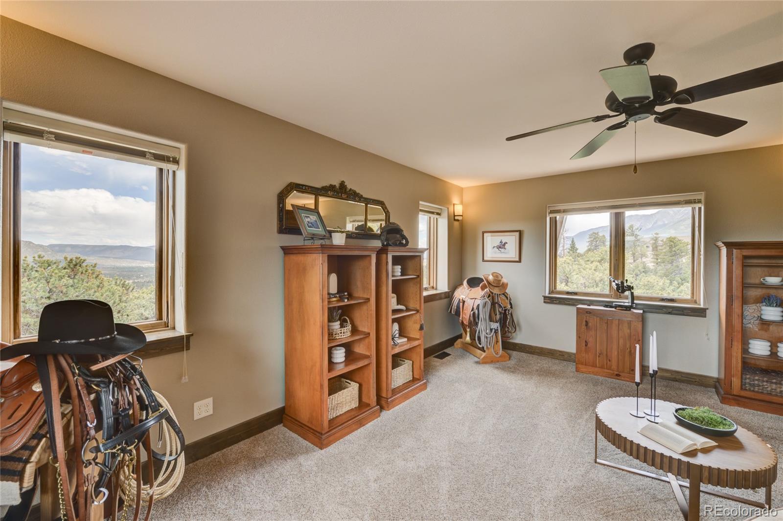 MLS Image #24 for 30177  princeton hills,buena vista, Colorado
