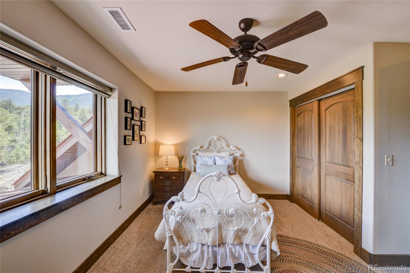 MLS Image #29 for 30177  princeton hills,buena vista, Colorado