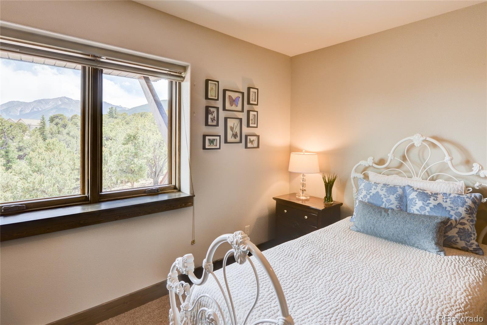 MLS Image #30 for 30177  princeton hills,buena vista, Colorado