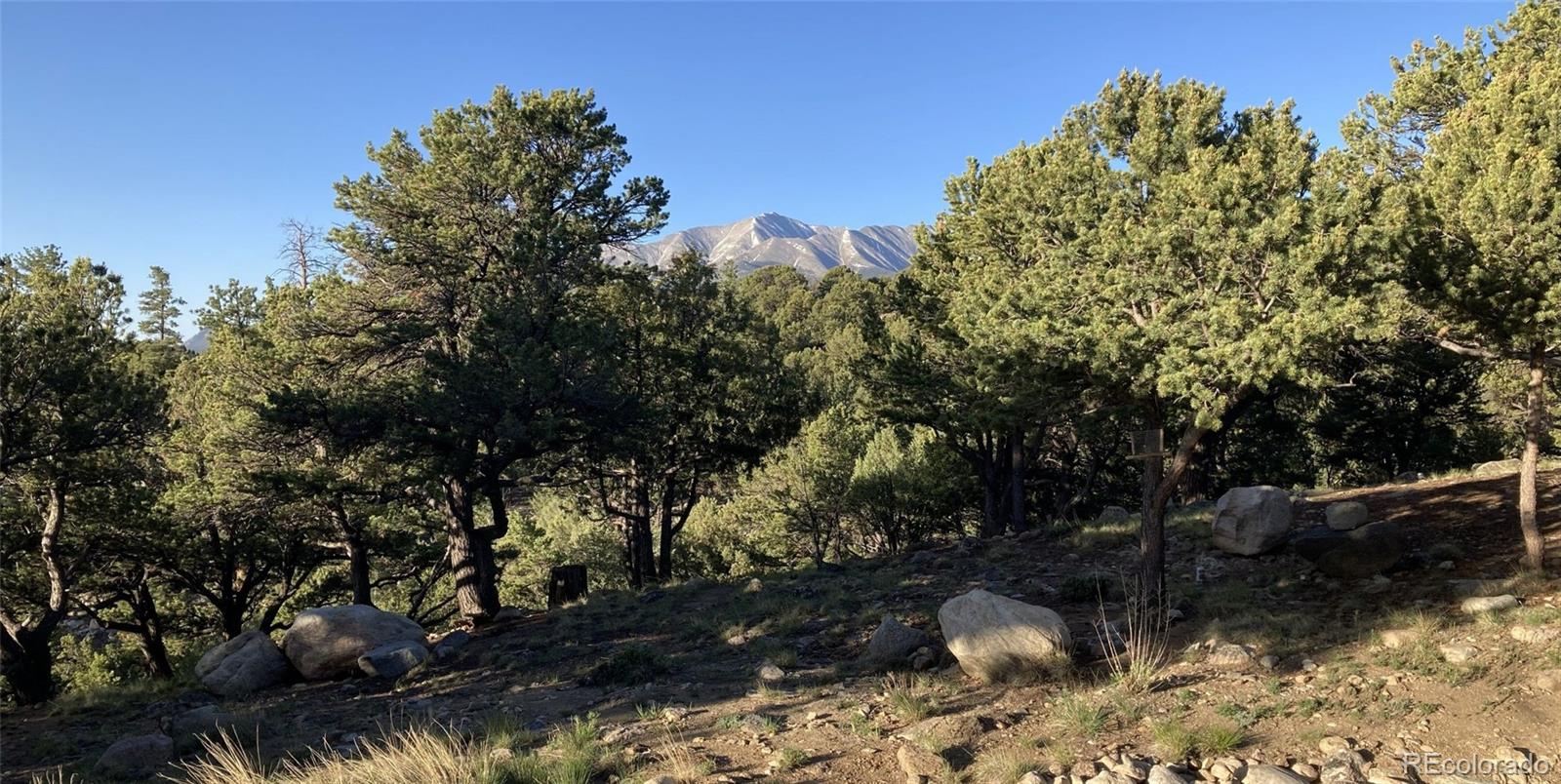 MLS Image #4 for 30177  princeton hills,buena vista, Colorado