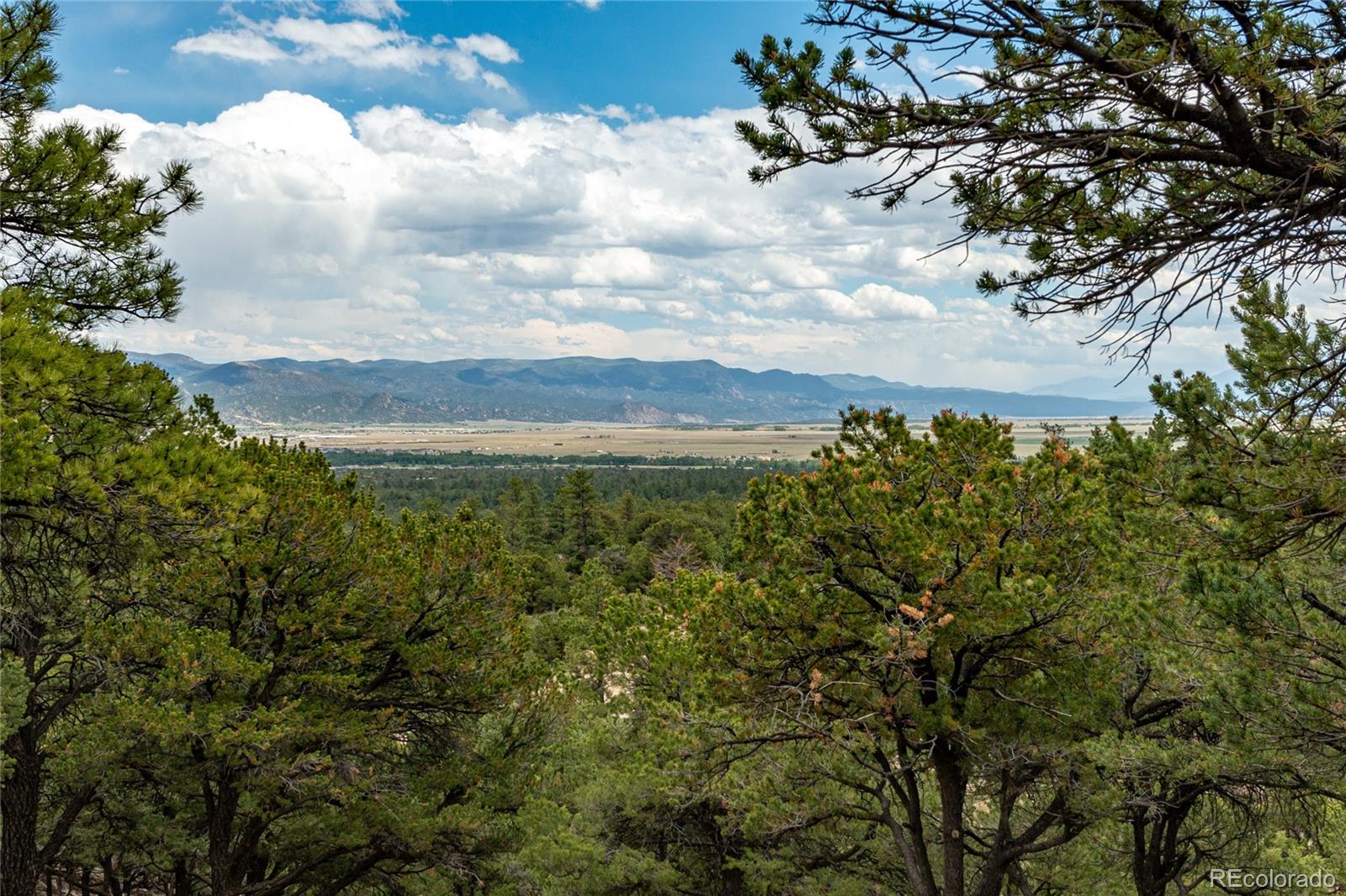MLS Image #46 for 30177  princeton hills,buena vista, Colorado