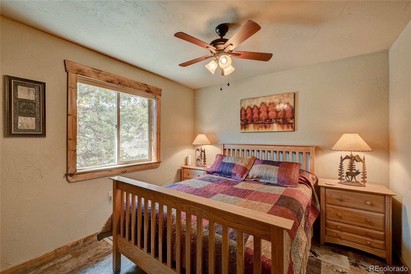 MLS Image #26 for 30280  valley view drive,buena vista, Colorado
