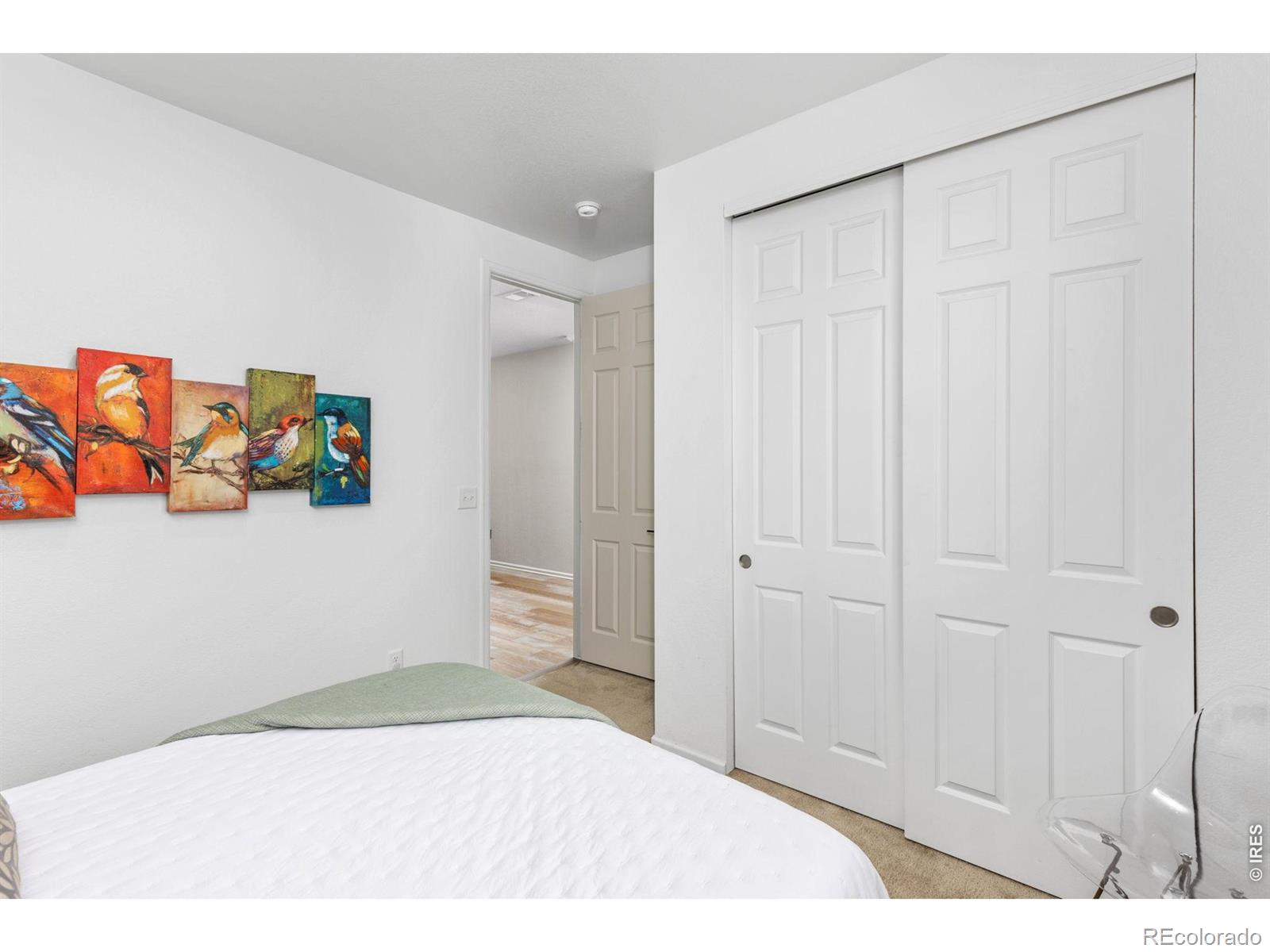 MLS Image #19 for 5524  bexley drive,windsor, Colorado