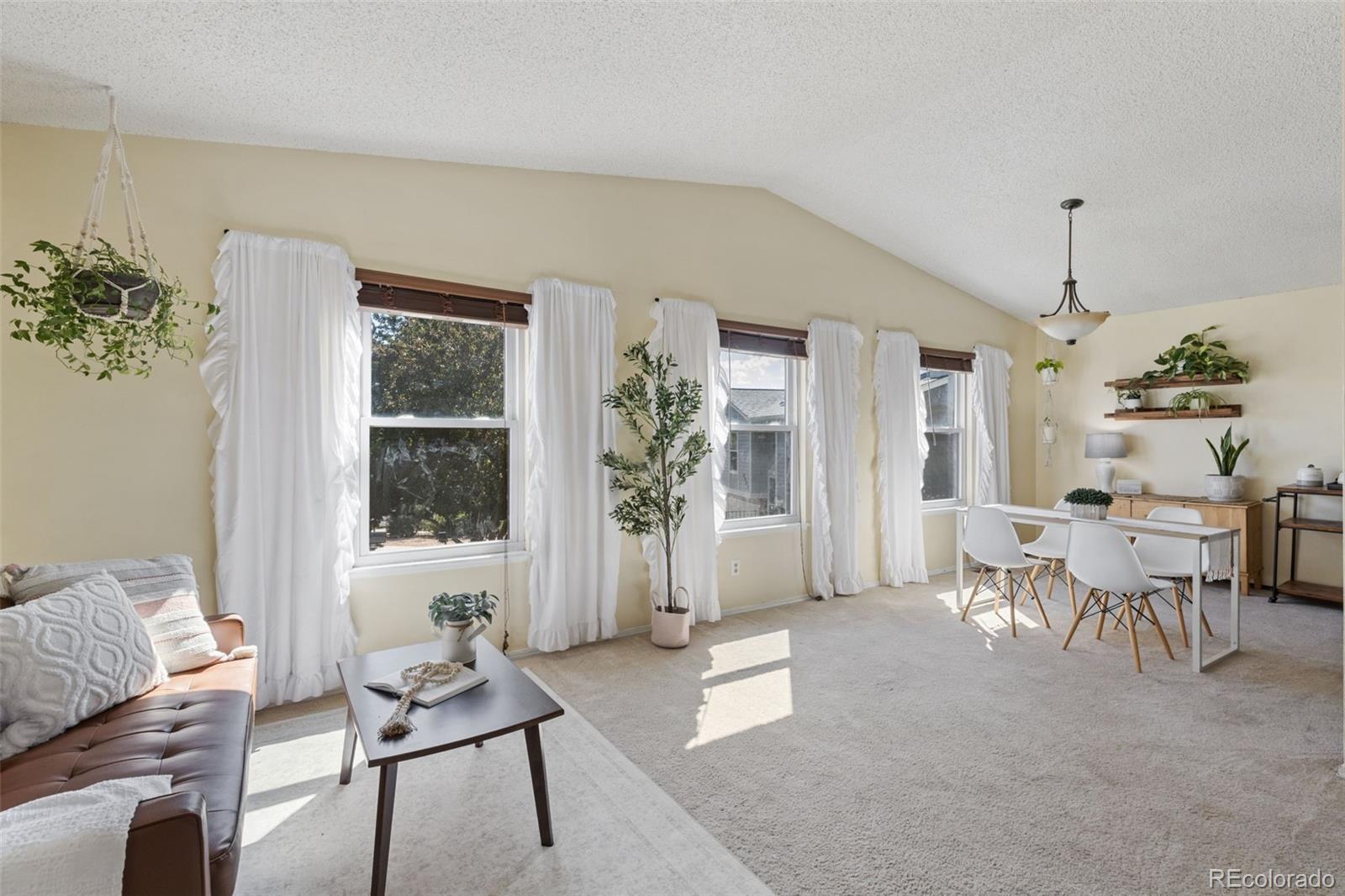 MLS Image #10 for 4990  wood brook court,colorado springs, Colorado