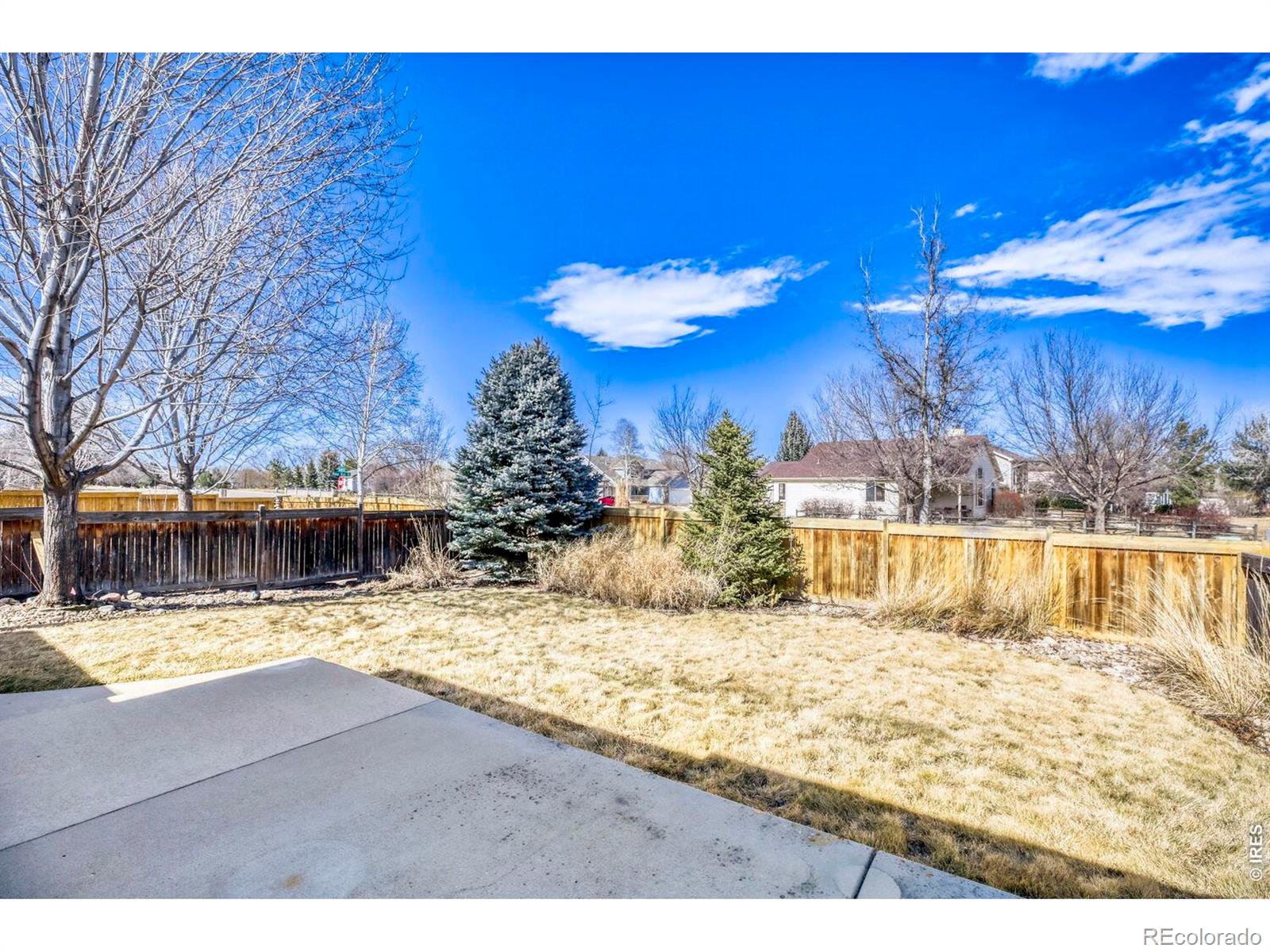 MLS Image #31 for 1966  hillside place,windsor, Colorado