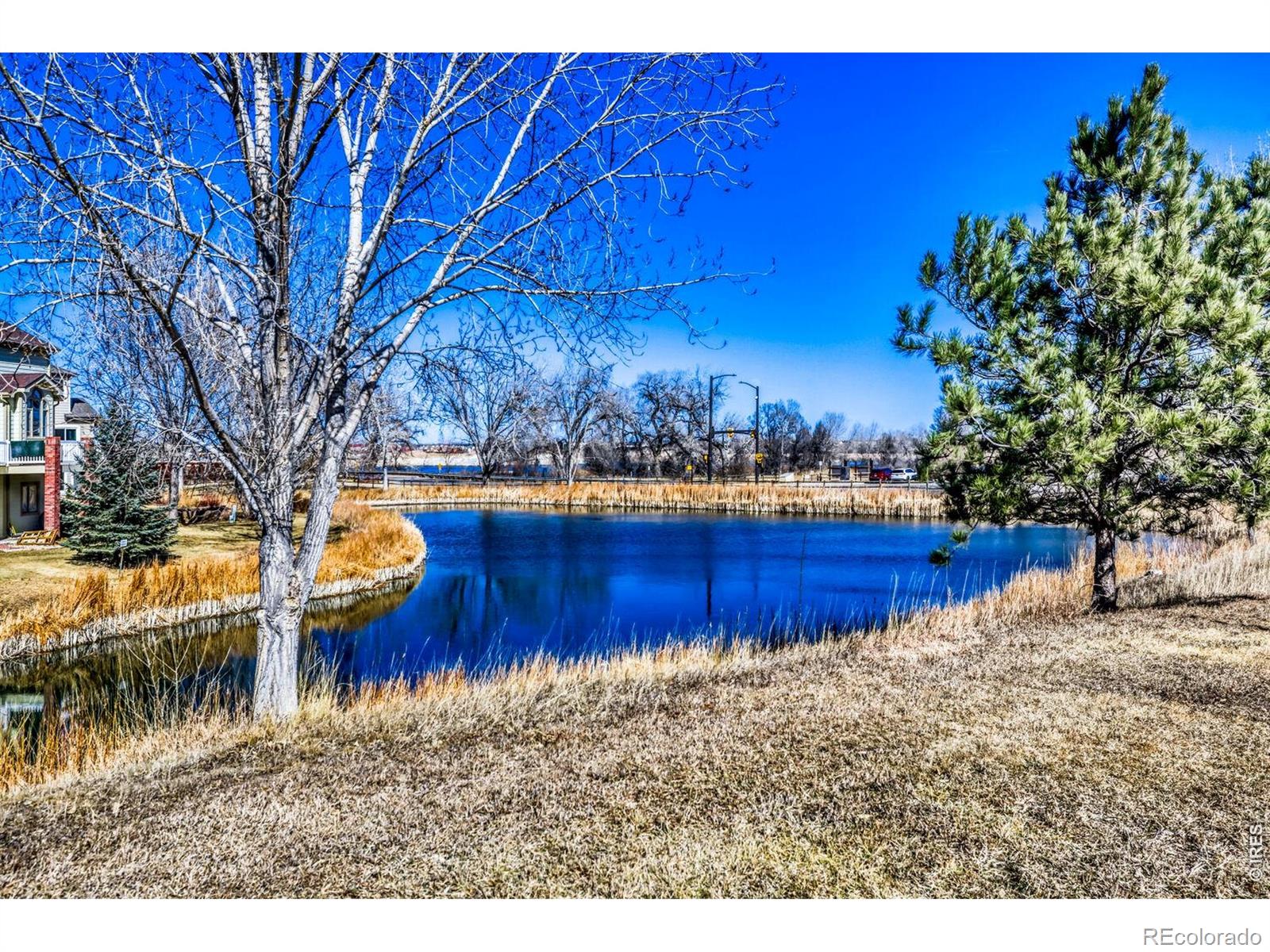MLS Image #34 for 1966  hillside place,windsor, Colorado