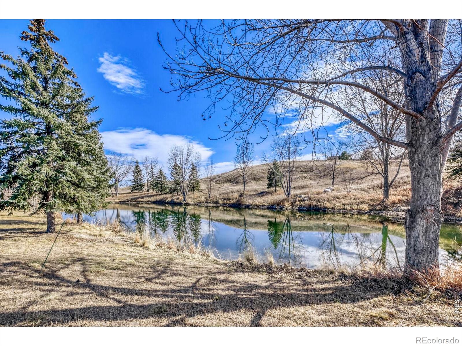 MLS Image #35 for 1966  hillside place,windsor, Colorado
