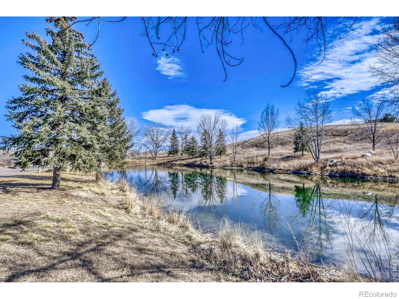 MLS Image #5 for 1966  hillside place,windsor, Colorado