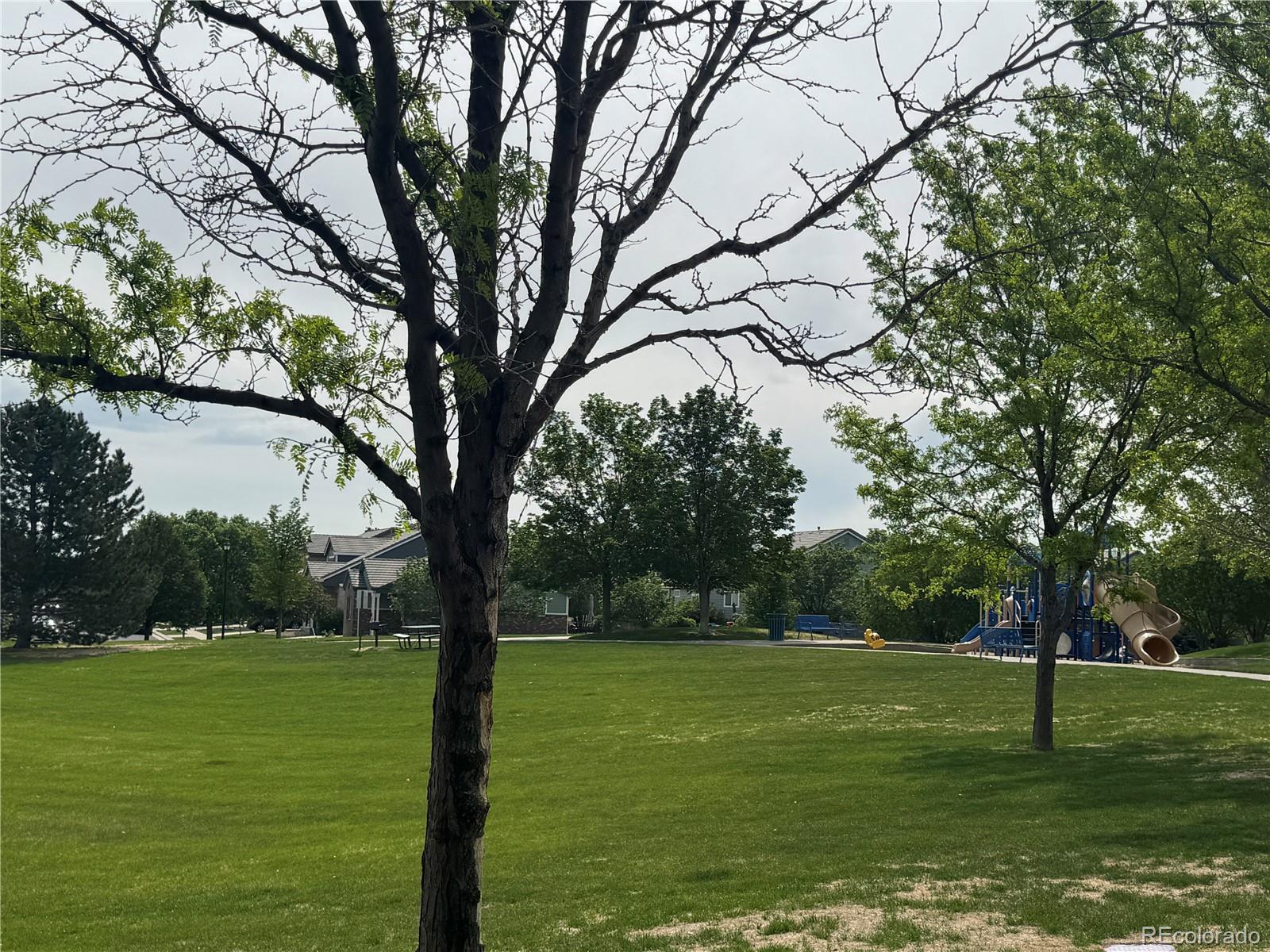 MLS Image #25 for 15612 e 96th way 30b,commerce city, Colorado