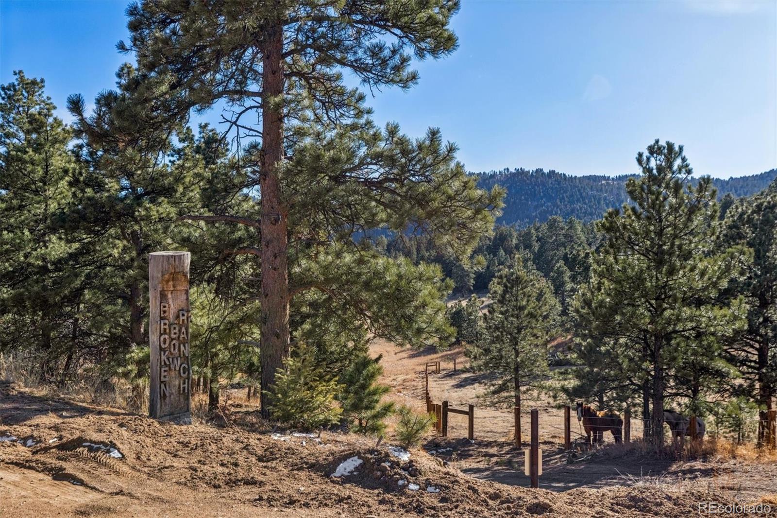 MLS Image #37 for 9146  broken bow ranch road,morrison, Colorado