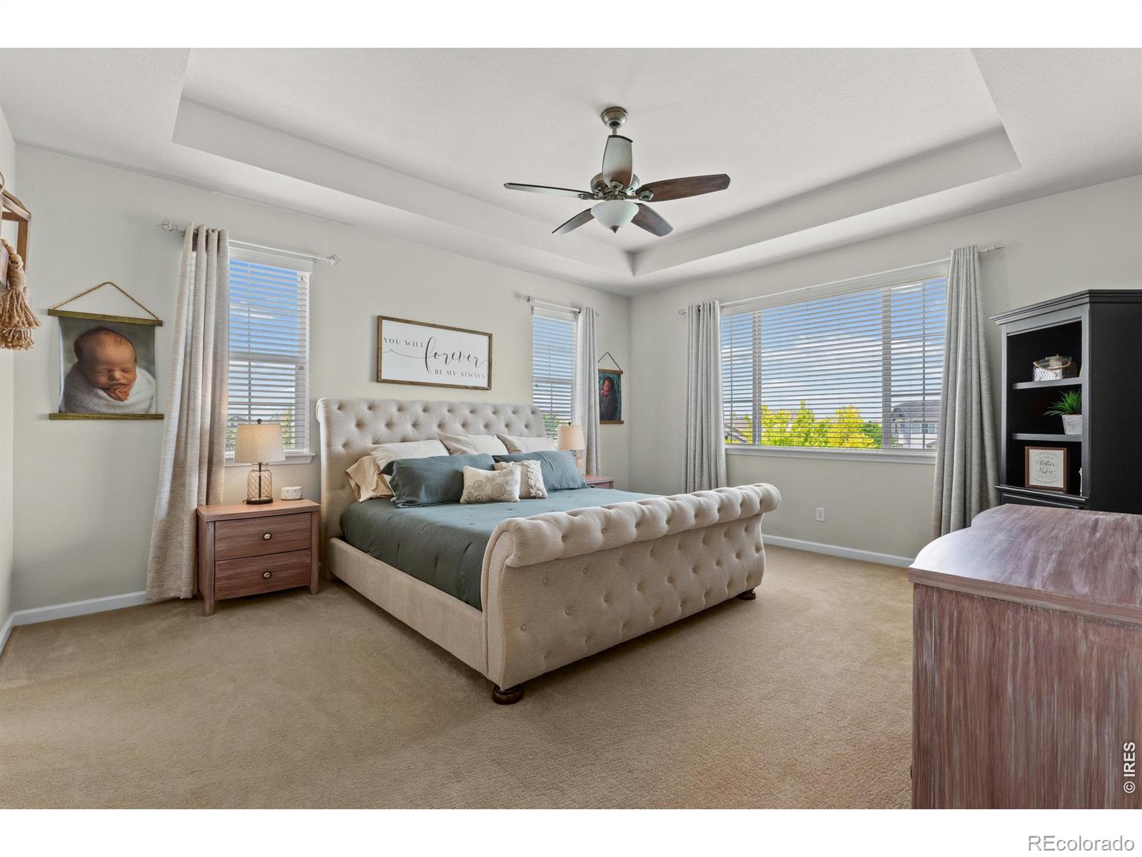 MLS Image #22 for 8370  cherry blossom drive,windsor, Colorado