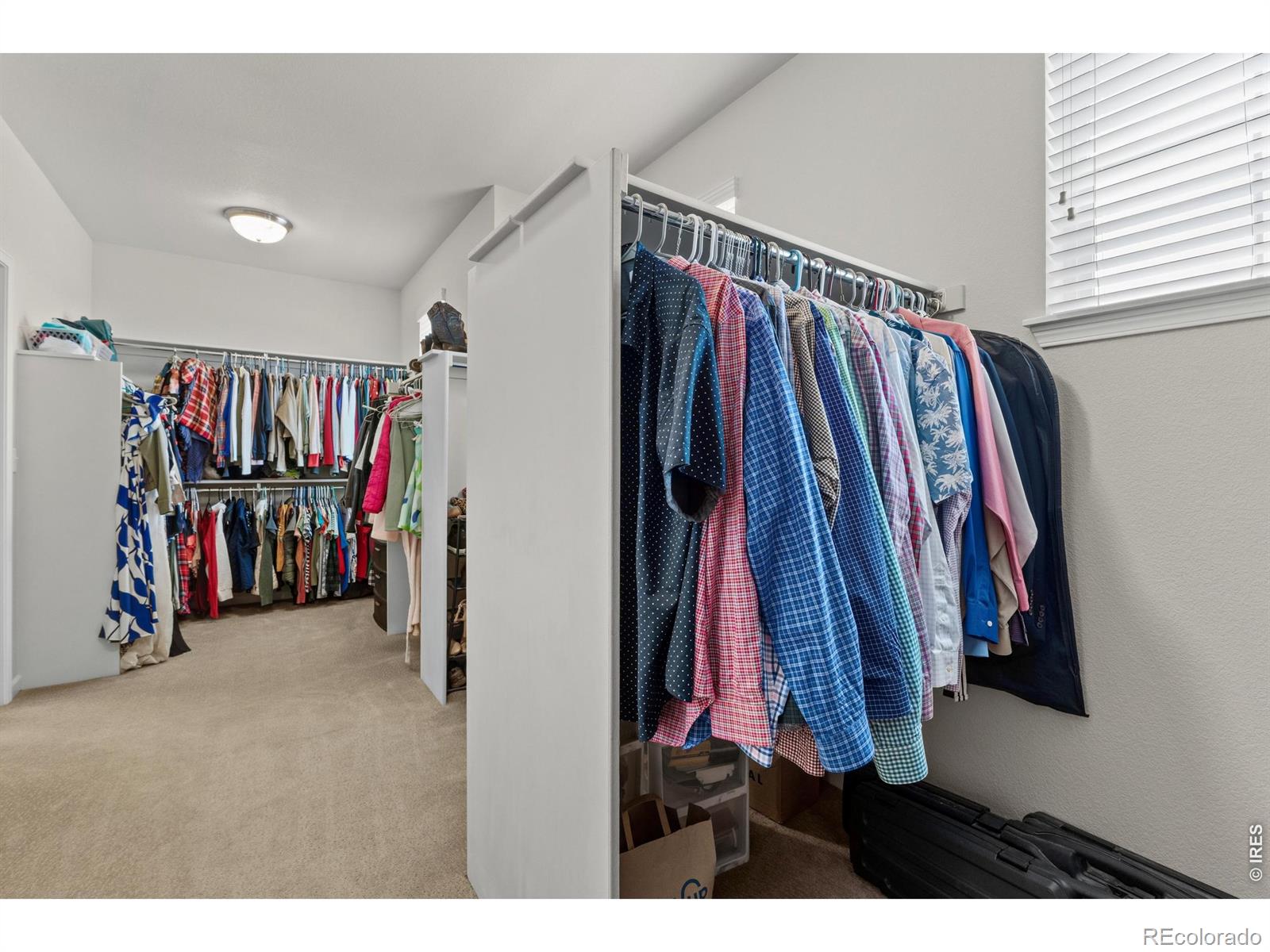 MLS Image #28 for 8370  cherry blossom drive,windsor, Colorado