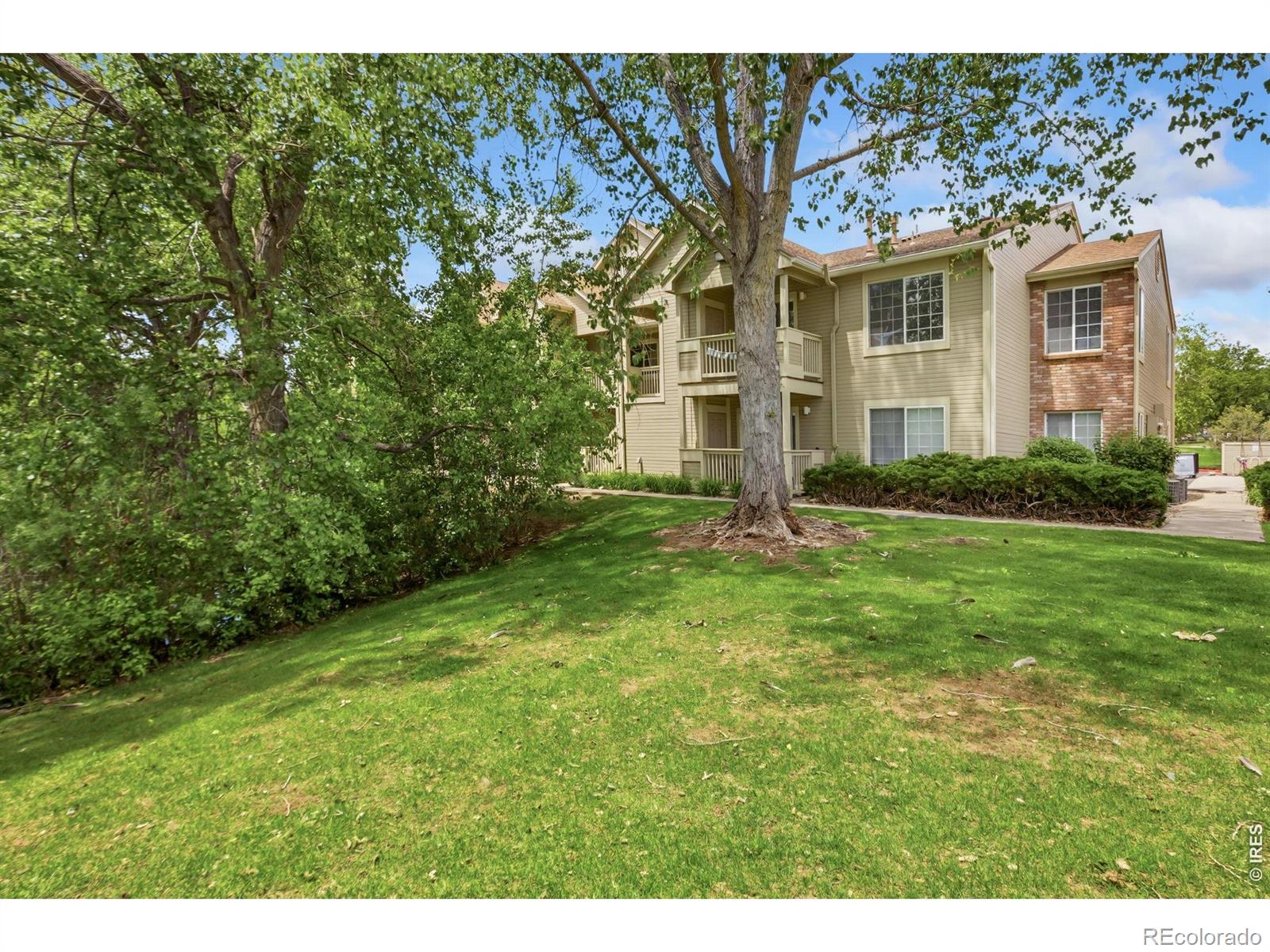 MLS Image #38 for 1225 w prospect road,fort collins, Colorado