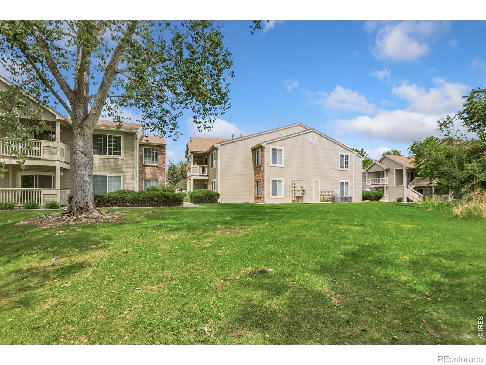 MLS Image #39 for 1225 w prospect road,fort collins, Colorado