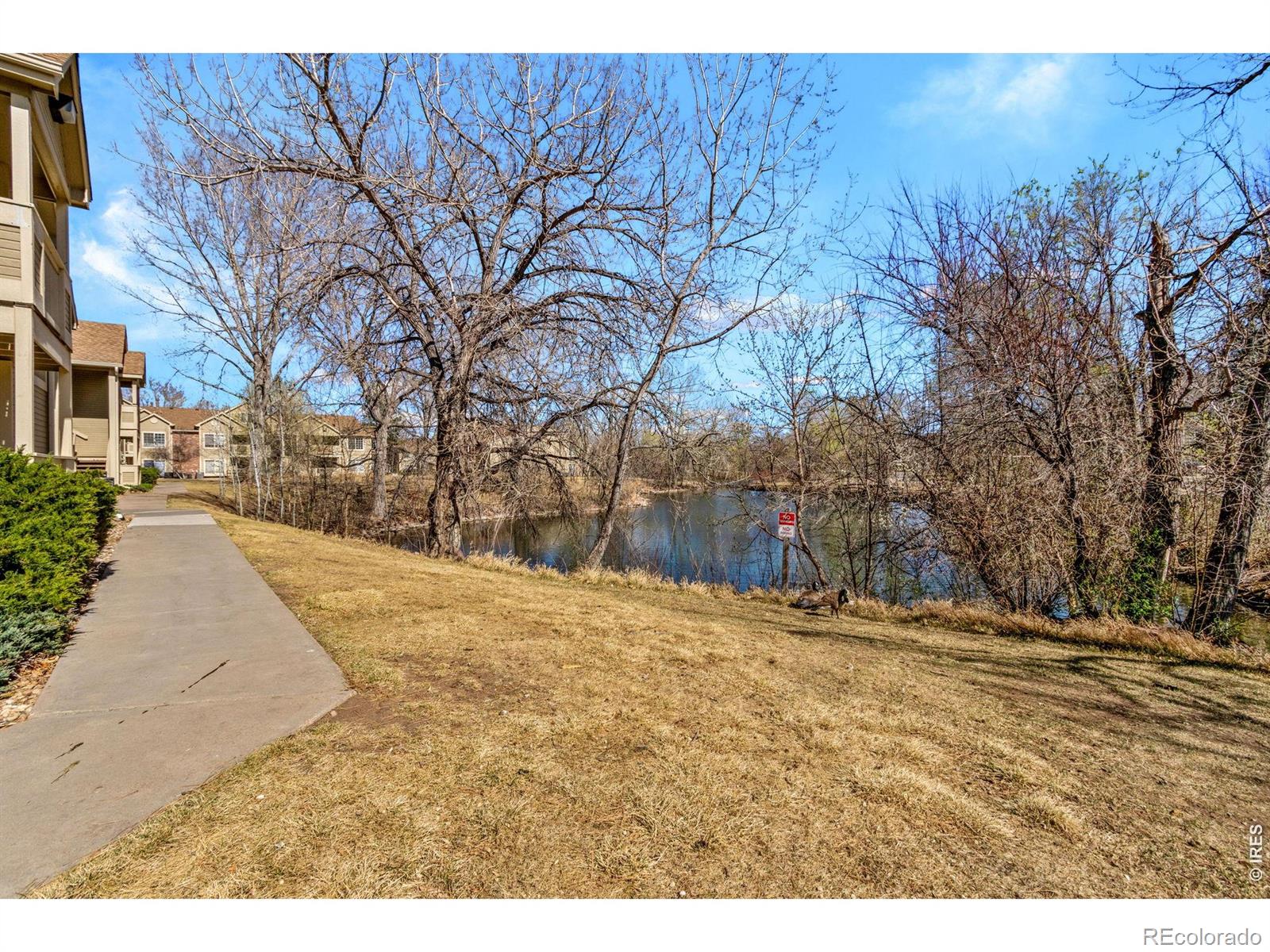 MLS Image #43 for 1225 w prospect road,fort collins, Colorado