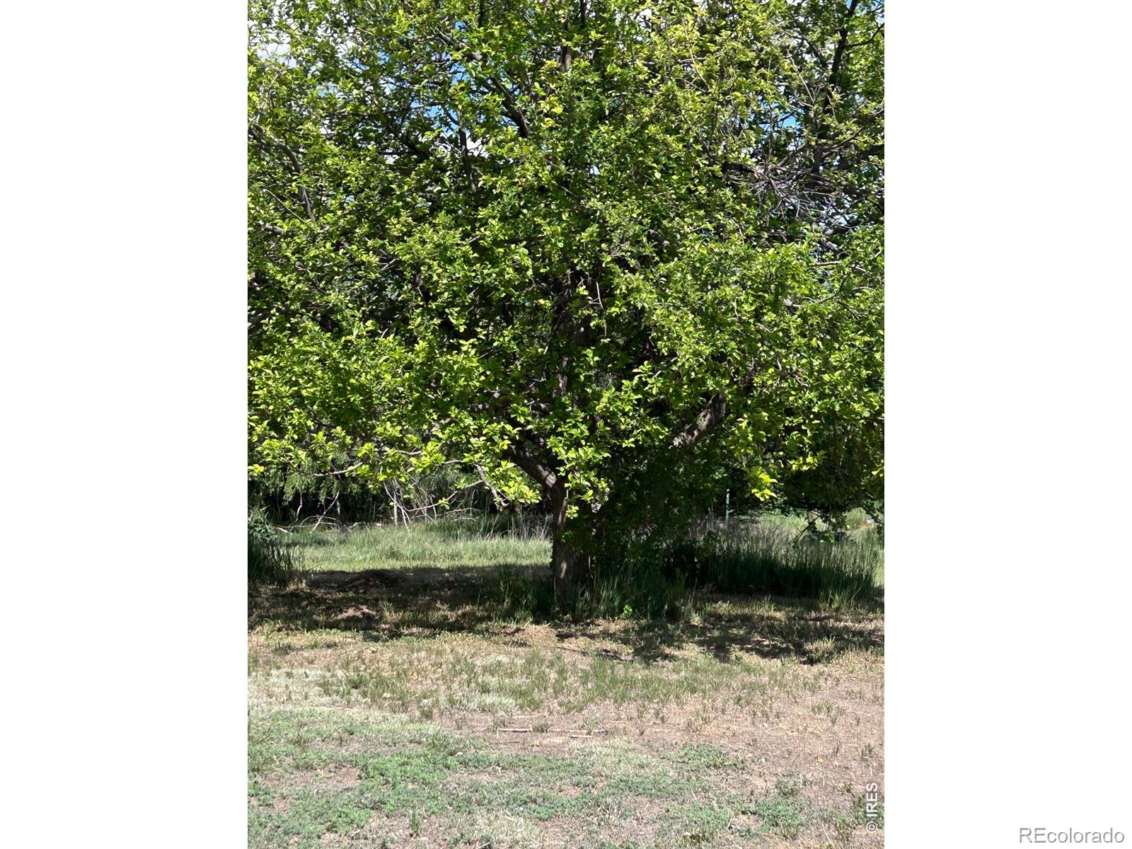 MLS Image #33 for 21378  county road 21 ,fort morgan, Colorado