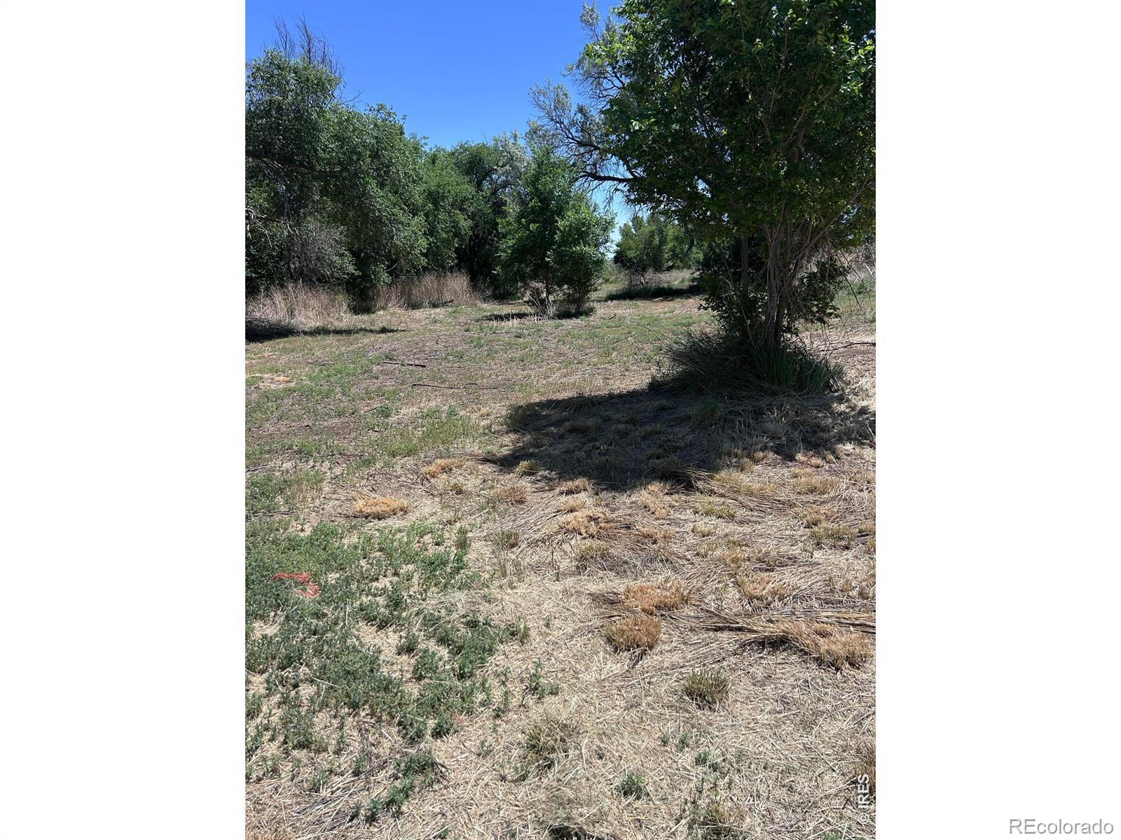 MLS Image #48 for 21378  county road 21 ,fort morgan, Colorado