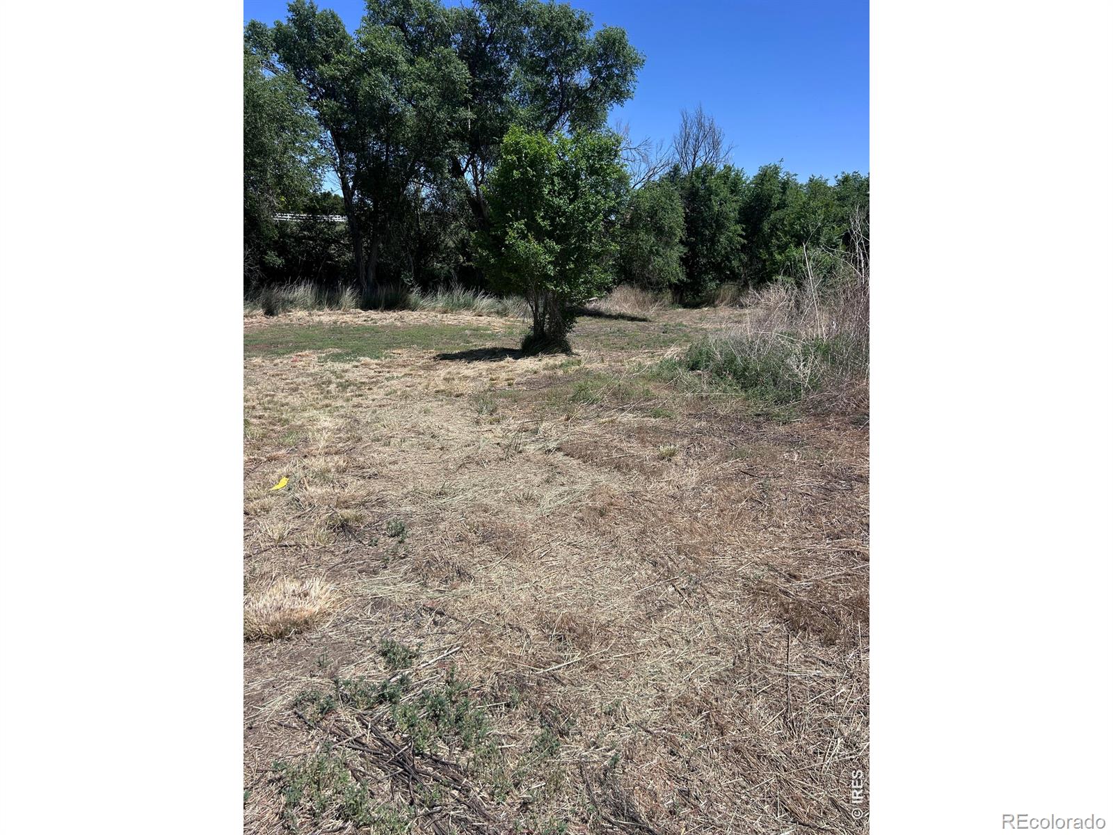 MLS Image #49 for 21378  county road 21 ,fort morgan, Colorado