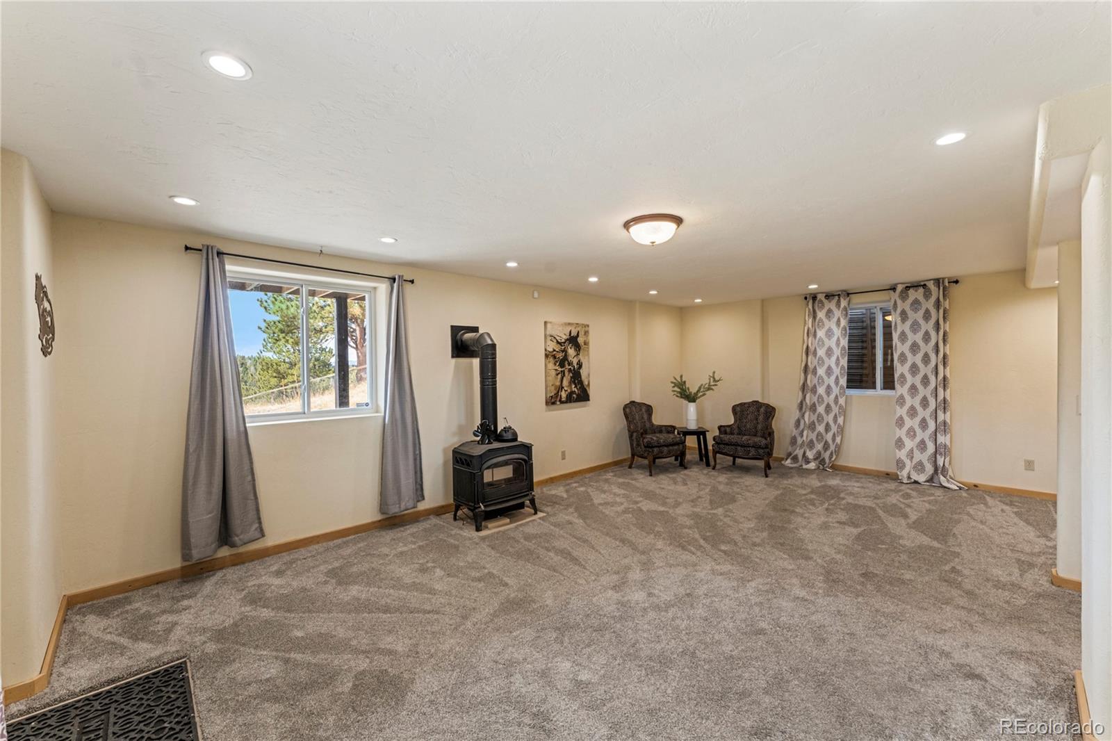 MLS Image #23 for 3543  blue mesa drive,divide, Colorado