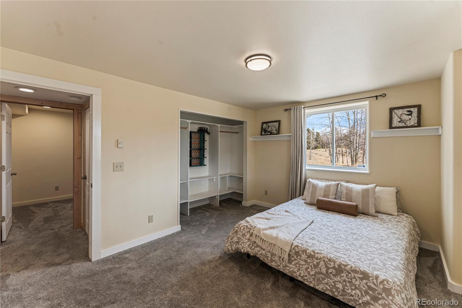 MLS Image #29 for 3543  blue mesa drive,divide, Colorado