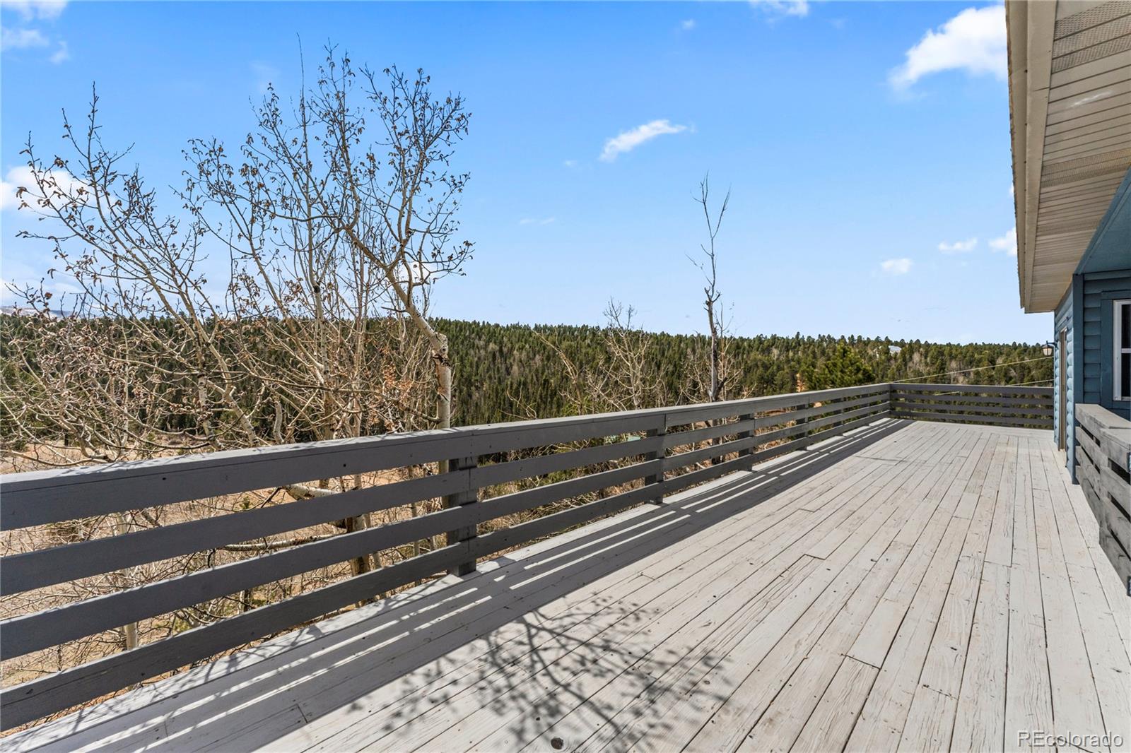 MLS Image #33 for 3543  blue mesa drive,divide, Colorado