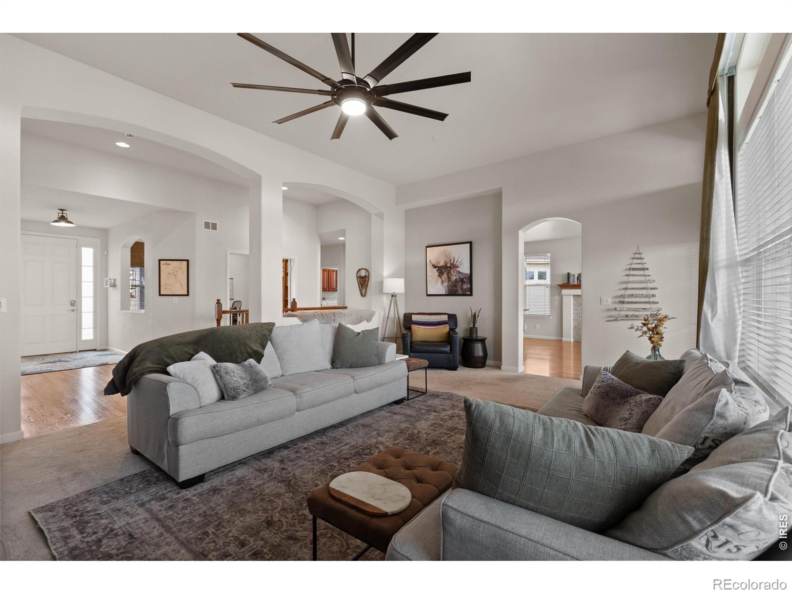 MLS Image #10 for 868  bramblewood drive,castle pines, Colorado