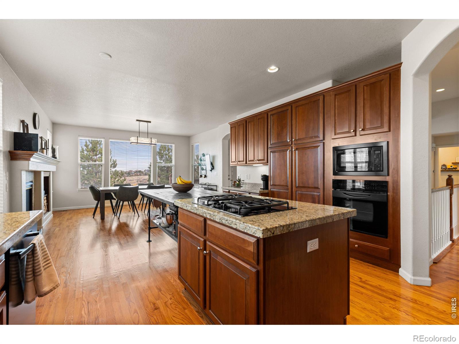 MLS Image #22 for 868  bramblewood drive,castle pines, Colorado