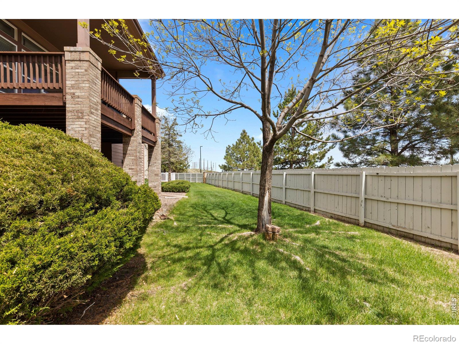 MLS Image #44 for 868  bramblewood drive,castle pines, Colorado