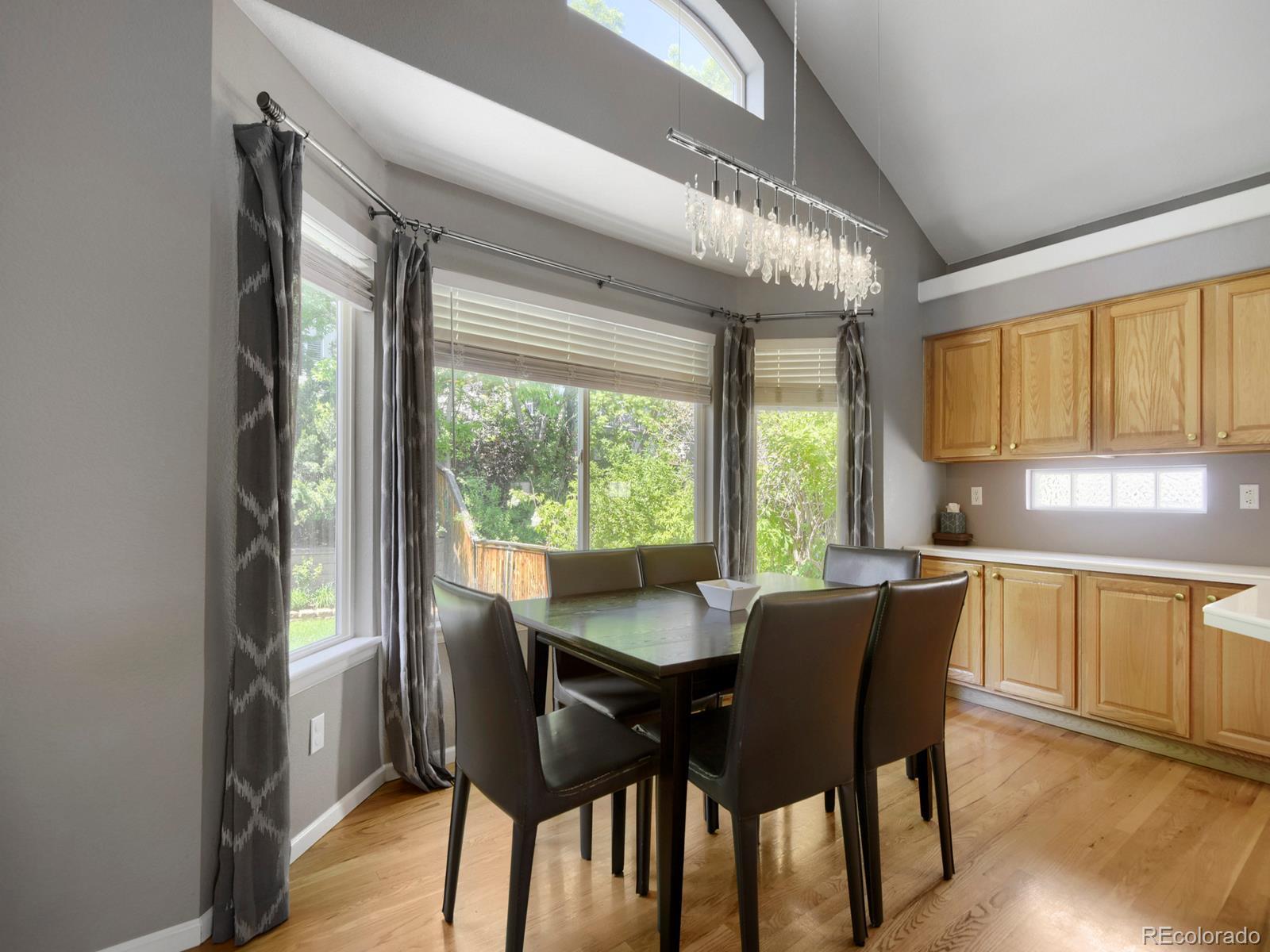 MLS Image #11 for 10235  alexa lane,highlands ranch, Colorado