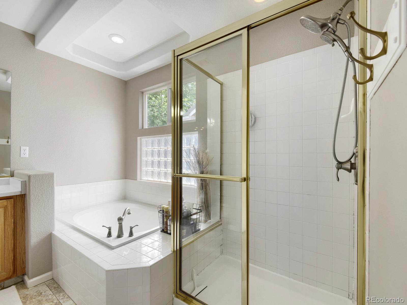 MLS Image #21 for 10235  alexa lane,highlands ranch, Colorado
