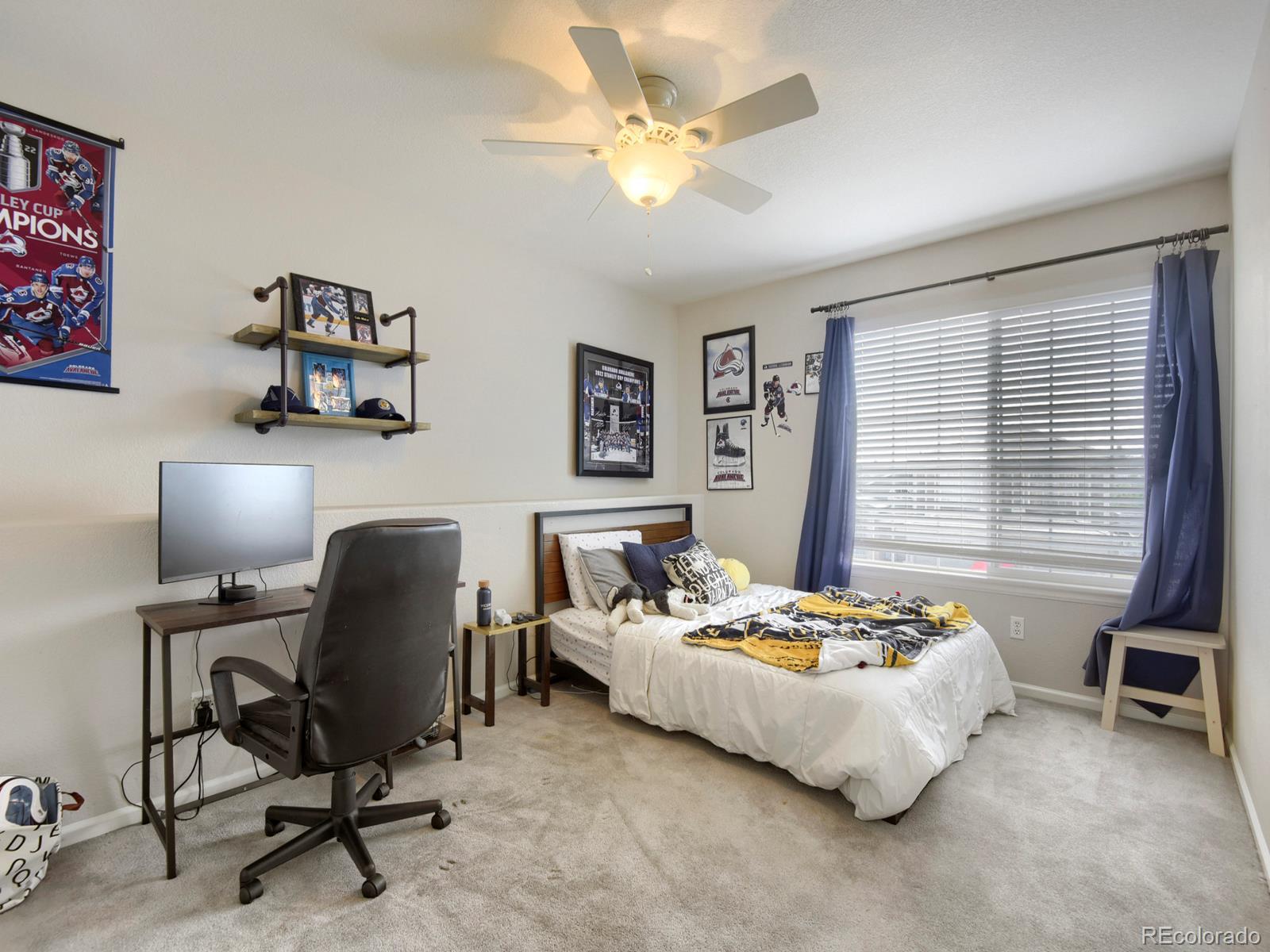 MLS Image #26 for 10235  alexa lane,highlands ranch, Colorado
